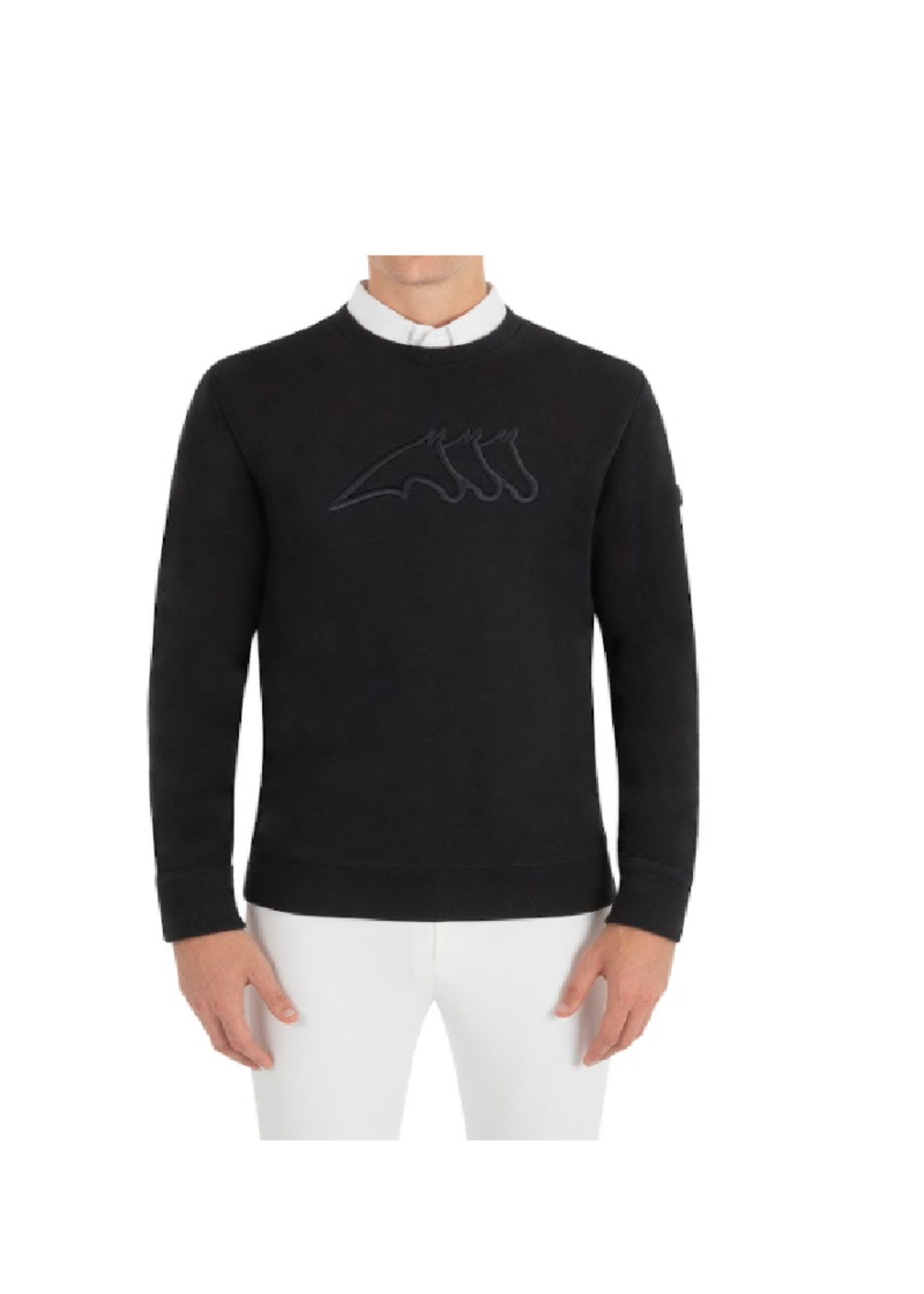 Equiline Equiline Erice Sweater Heren