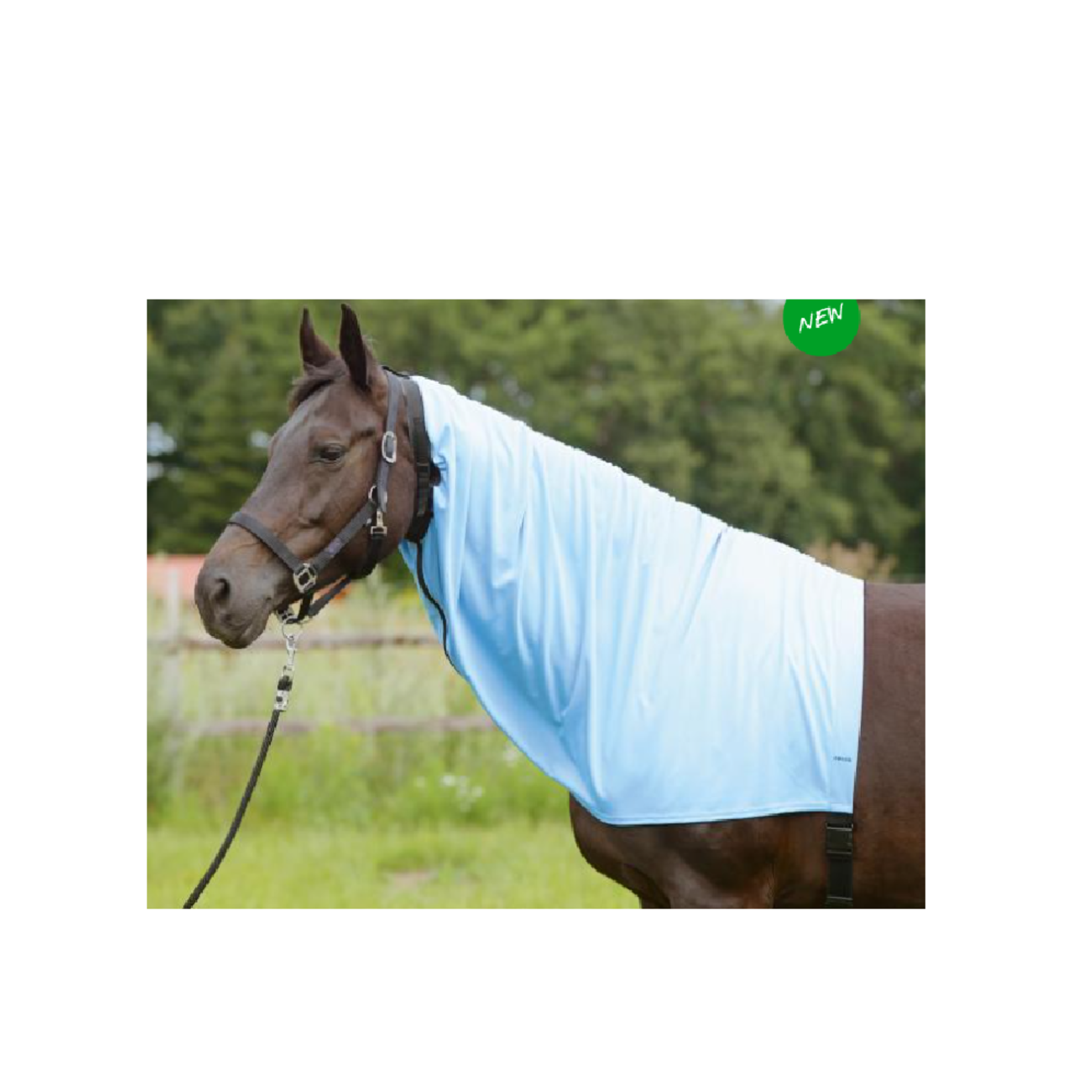 Vind eczeem hals in Paarden en Pony's | Dekens en Dekjes op