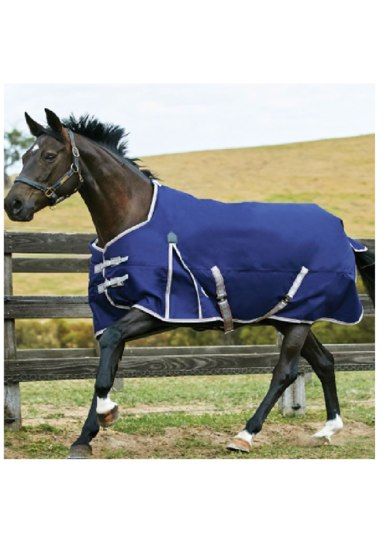 Weatherbeeta Weatherbeeta Comfitec Plus Dynamic  0 gr Waterdicht Deken