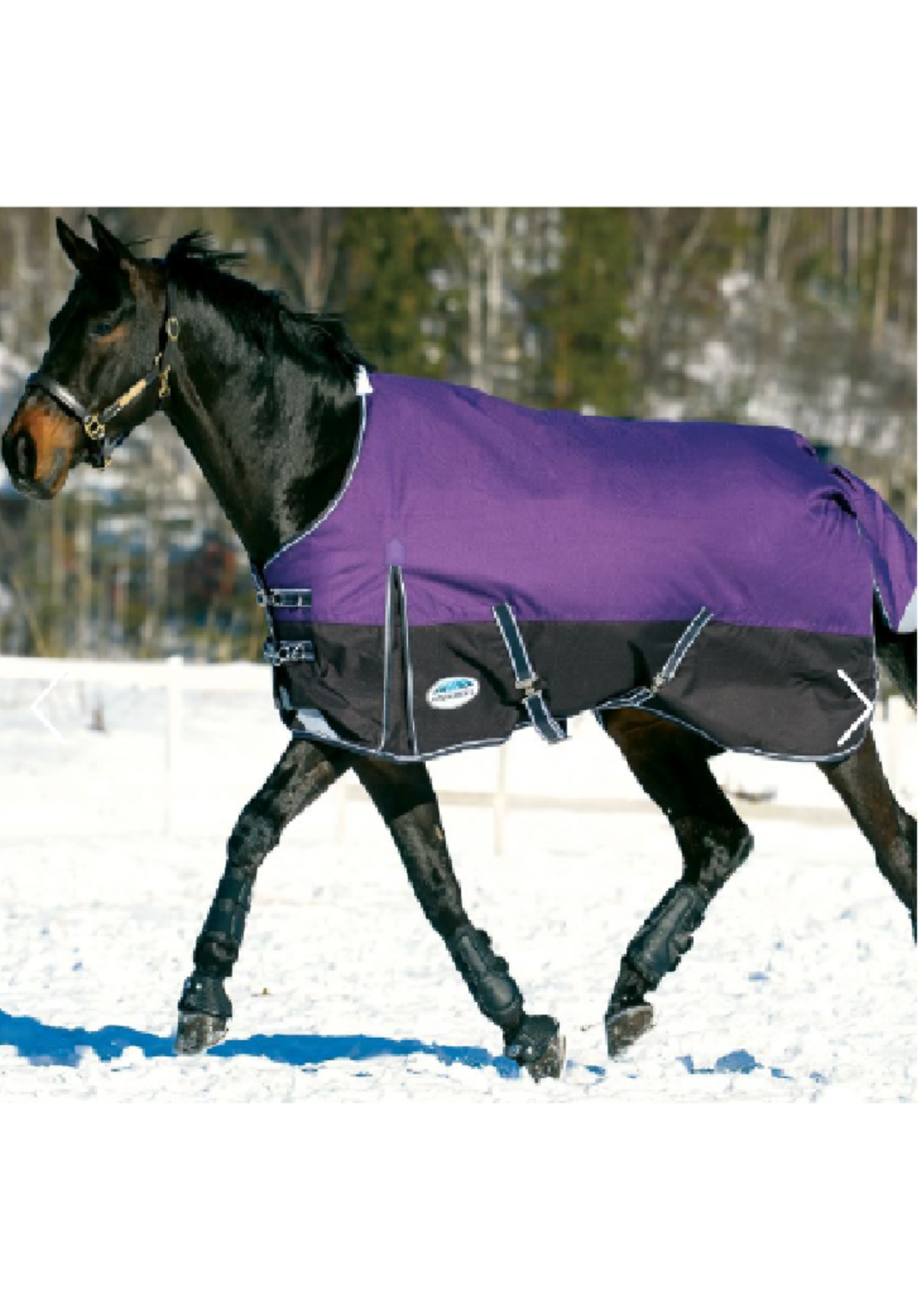 Weatherbeeta Weatherbeeta Comfitec Plus Dynamic  220 gr Waterdicht Deken