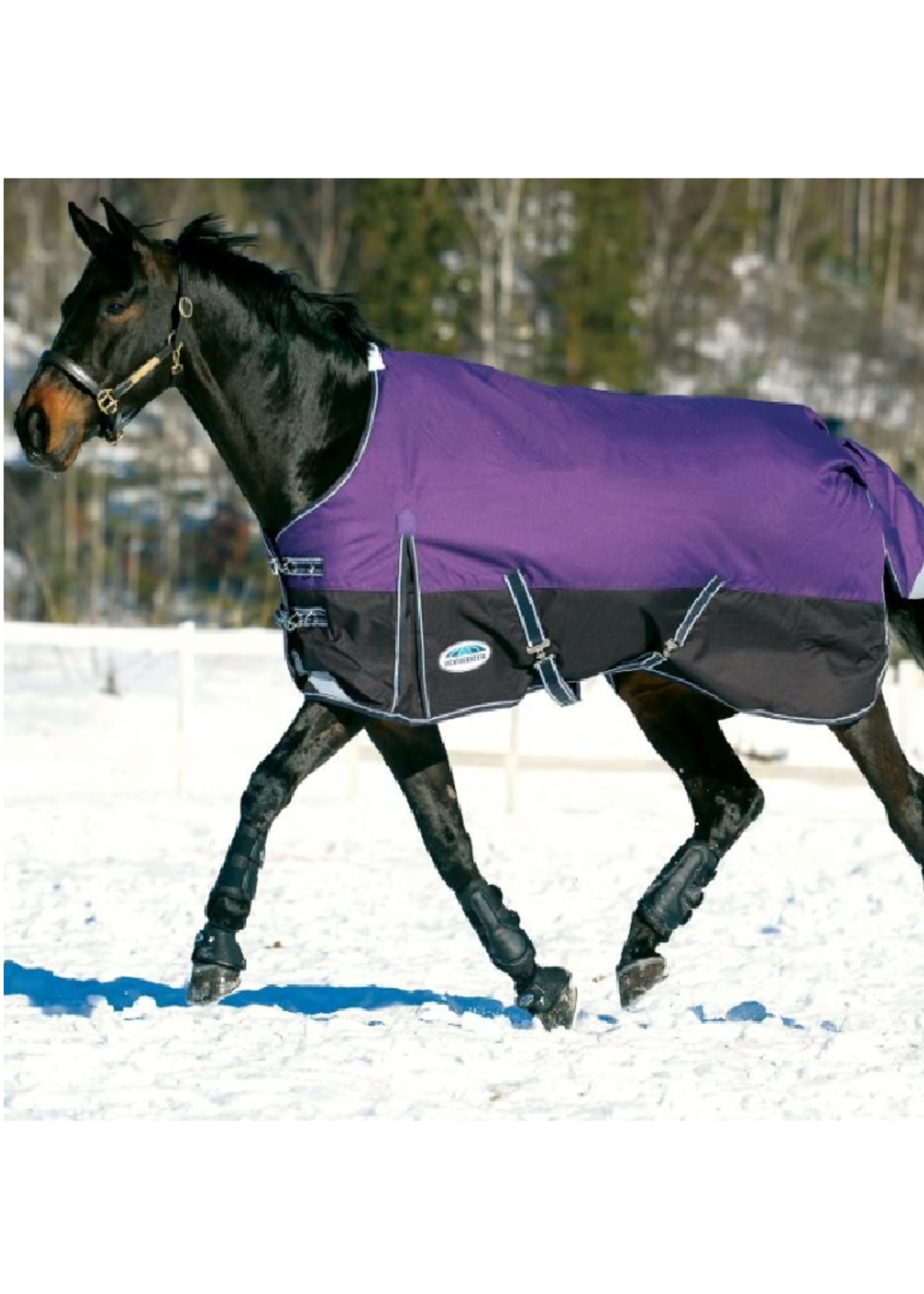 Weatherbeeta Weatherbeeta  Plus Dynamic  100 gr Waterdicht Deken (801326)