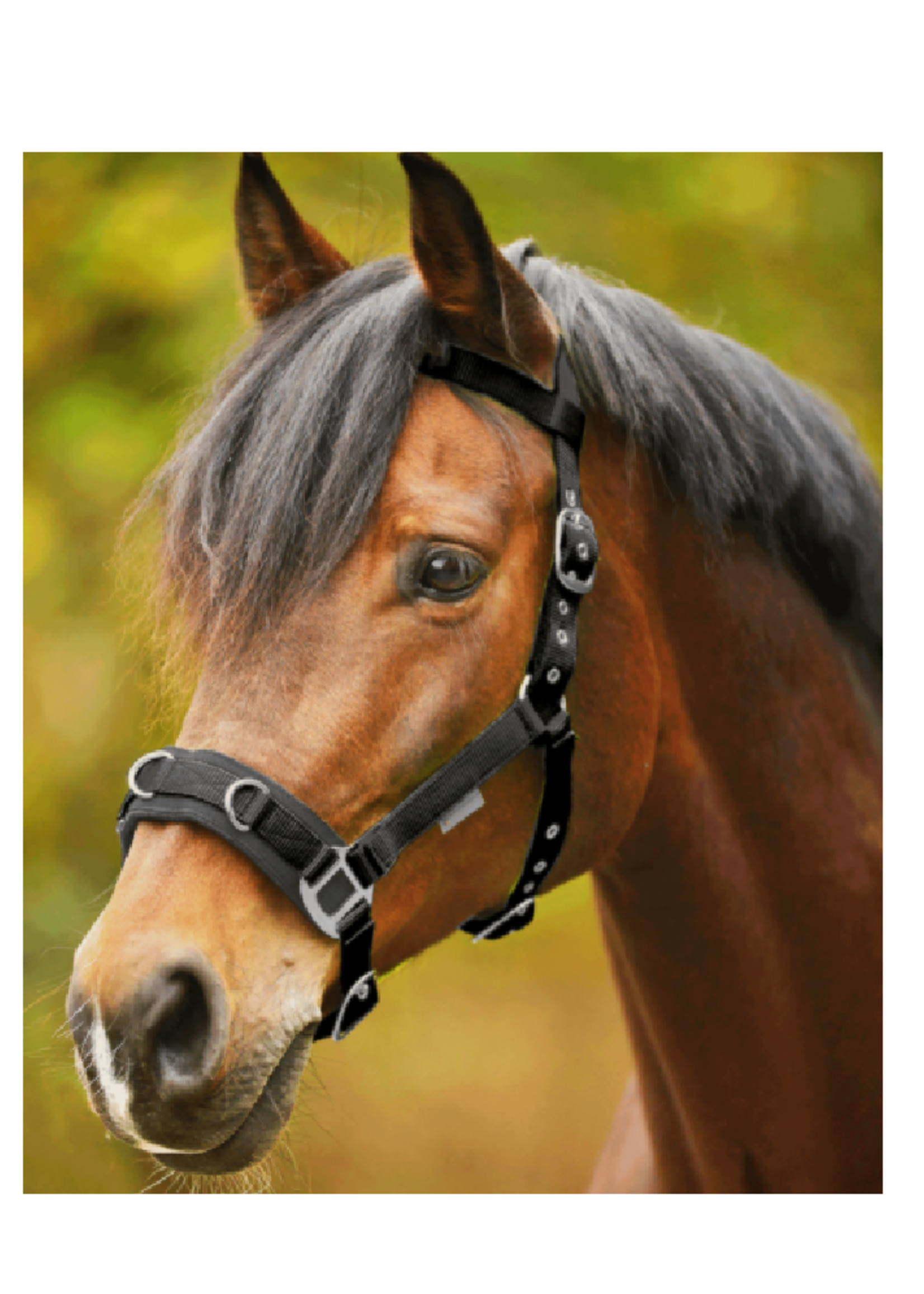 Waldhausen Waldh Cavesson  Nylon Kaptoom