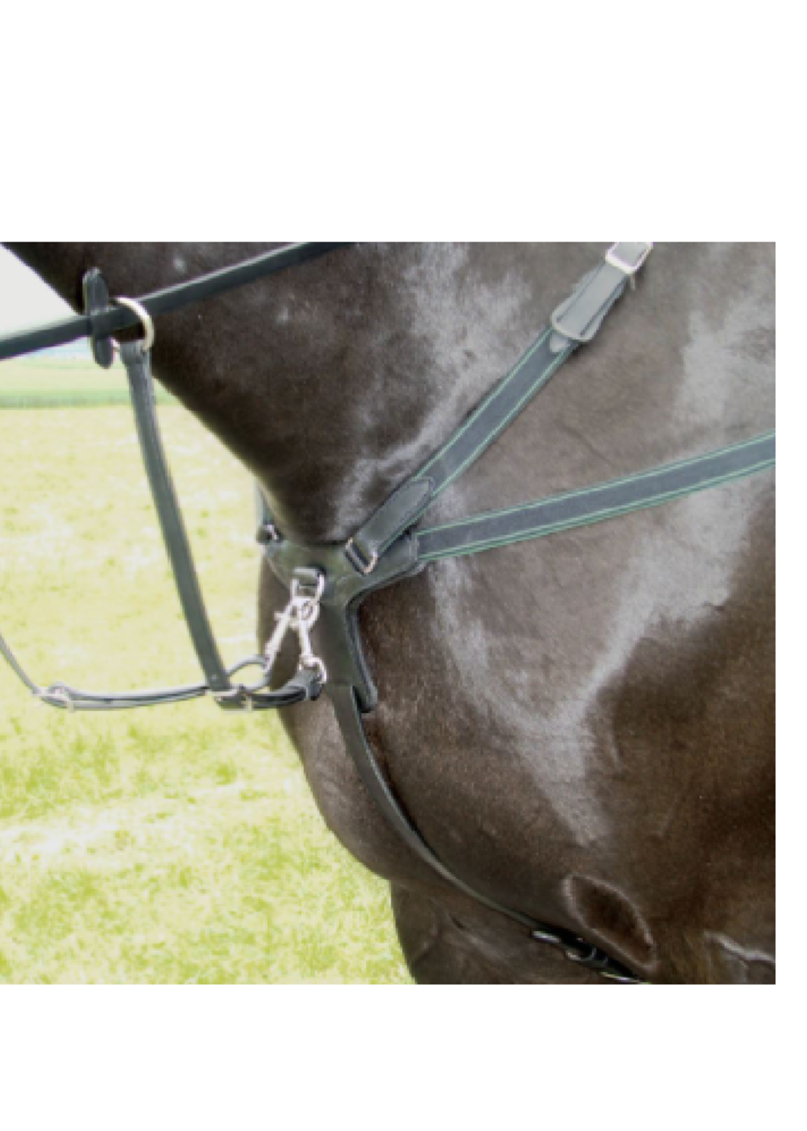 Amerigo Amerigo Event Martingale