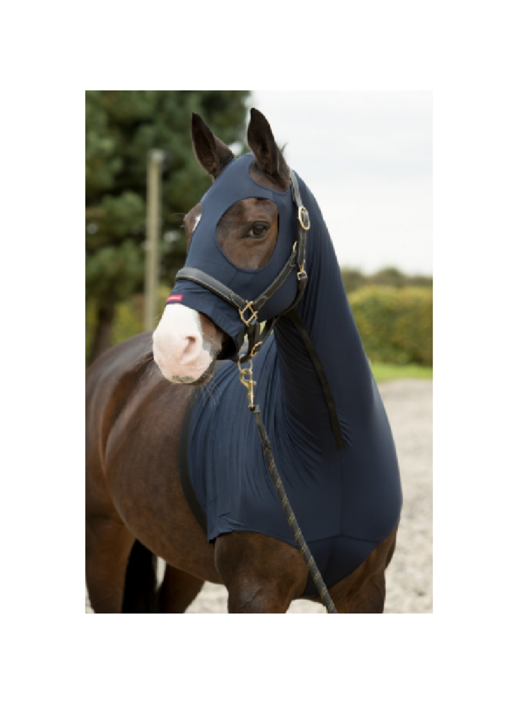 LeMieux Lemieux Lycra Hood Halsstuk