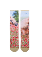 Stapp Stapp Limited Edition Sokken