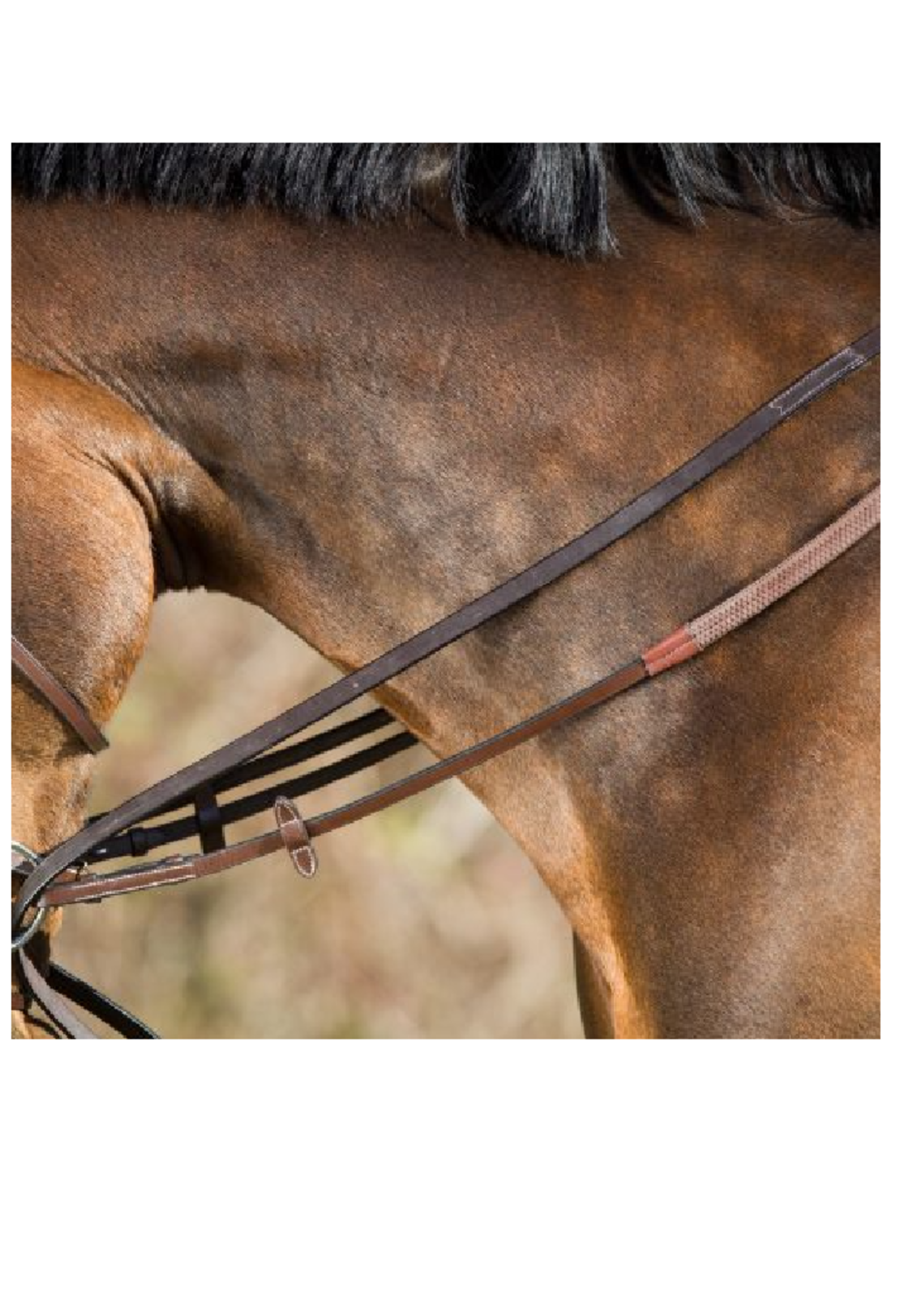 HFI HFI Slofteugel Leer