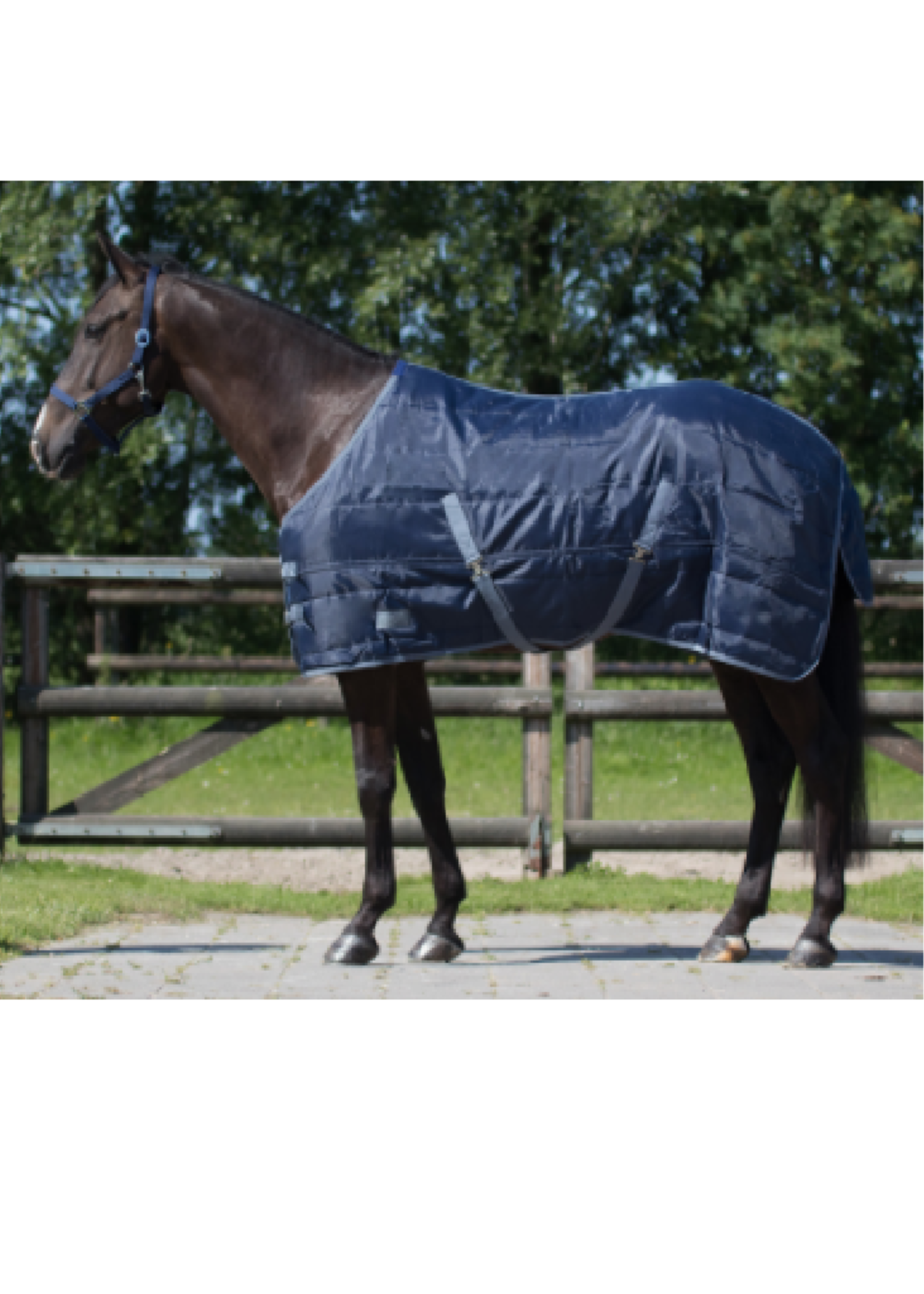 QHP QHP staldeken Start 150g