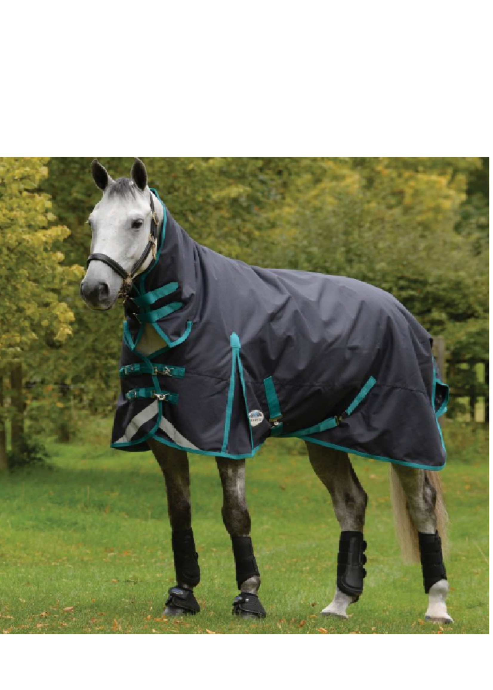 Weatherbeeta Weatherbeeta Comfitec Plus Dynamic  220 gr Vaste Hals Waterdicht Deken