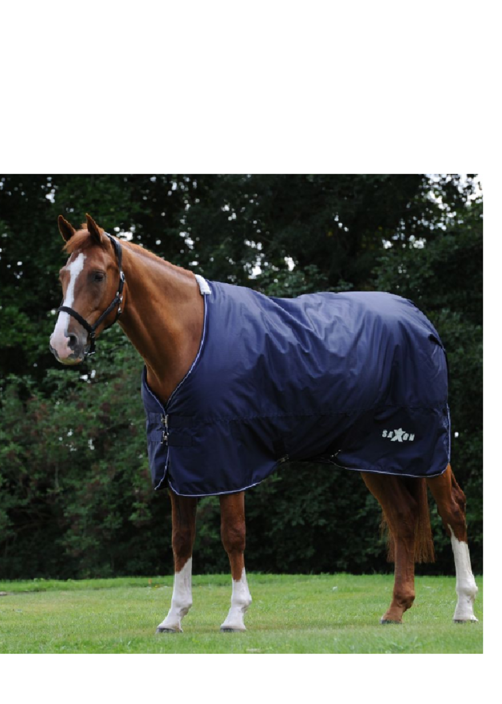 Saxon Wea1therbeeta Saxon Defiant 600D 200 gr Waterdicht Deken