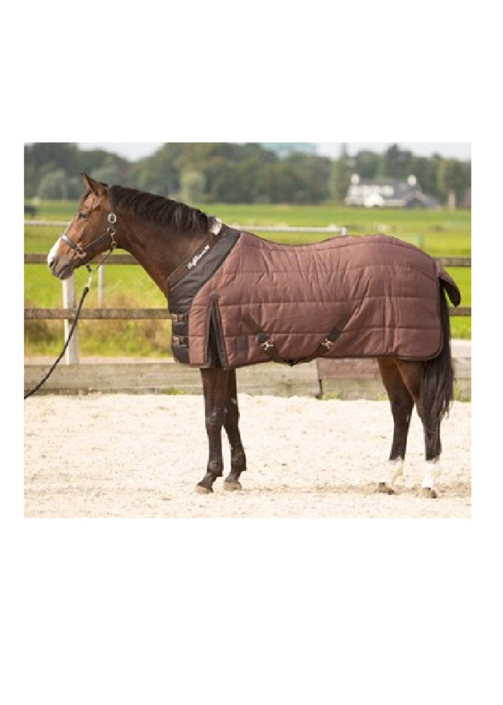 Harry’s horse Harry Highliner staldeken  200gr