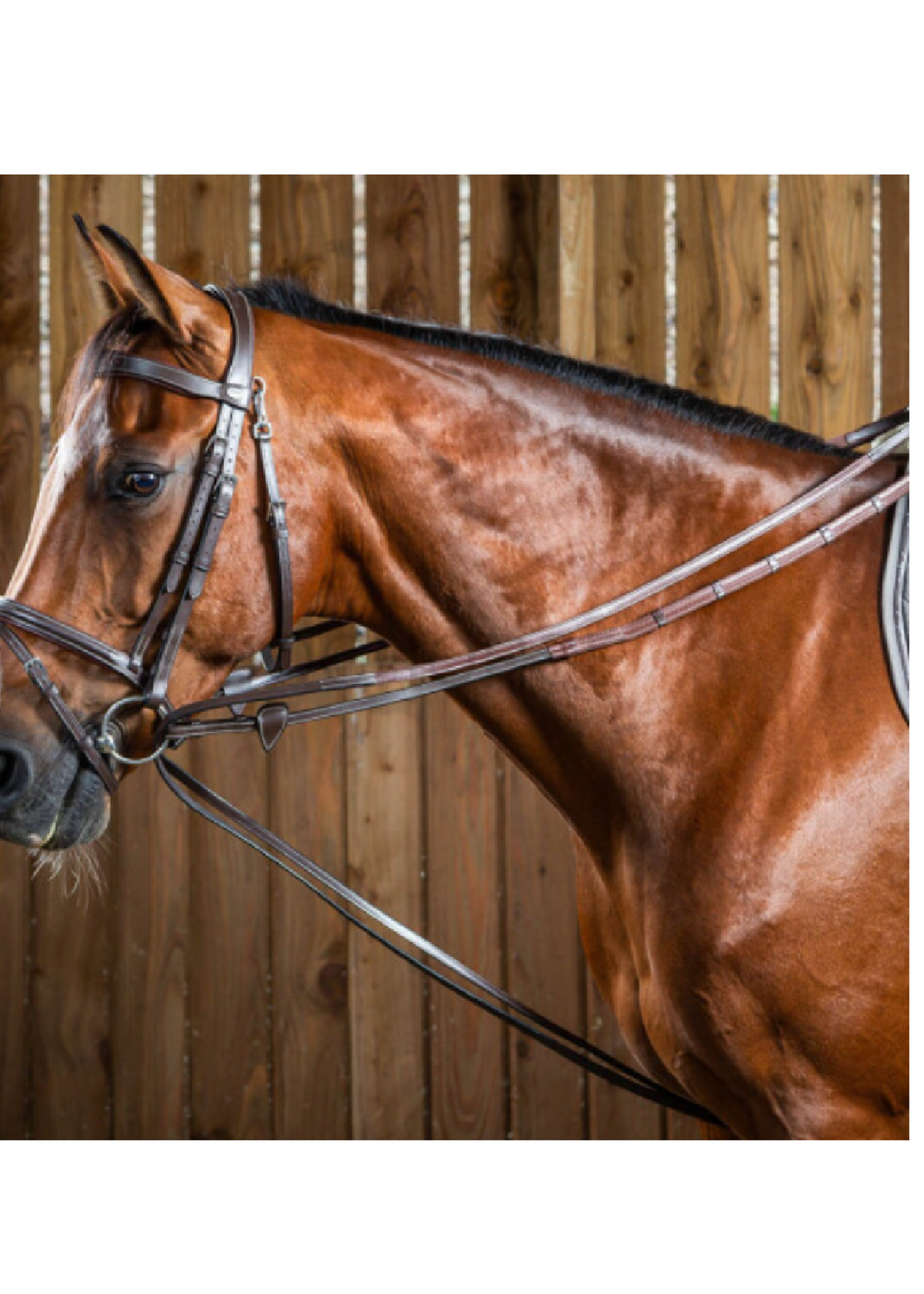 Dyon Dyon Leer/Antislip  Slofteugel