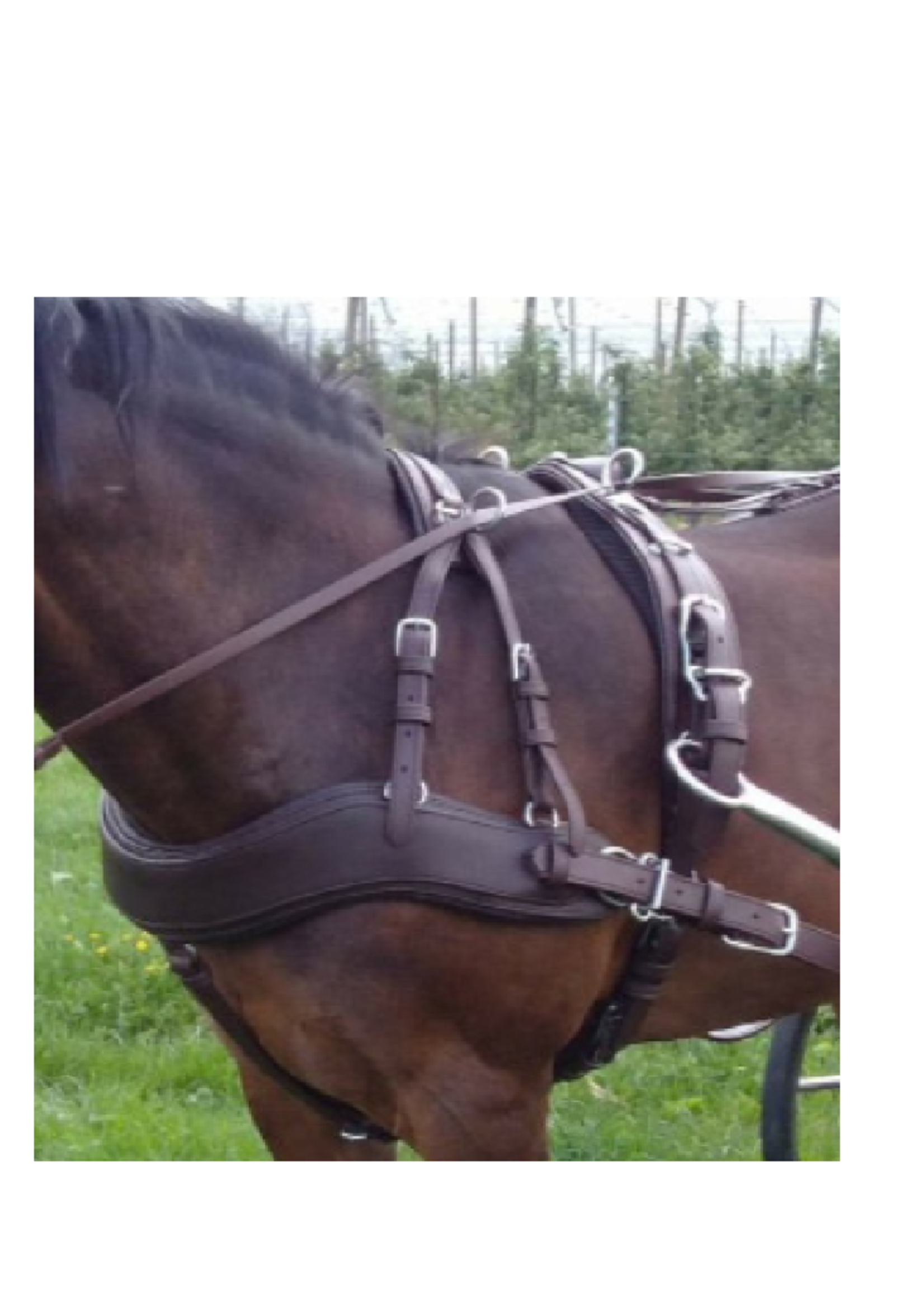 Ideal Ideal Enkelspan EuroTech Classic M Freesttle Bort Tuig
