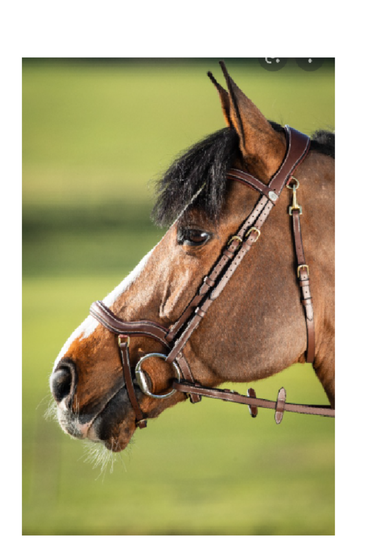 HFI HFI Techno Hoofdstel