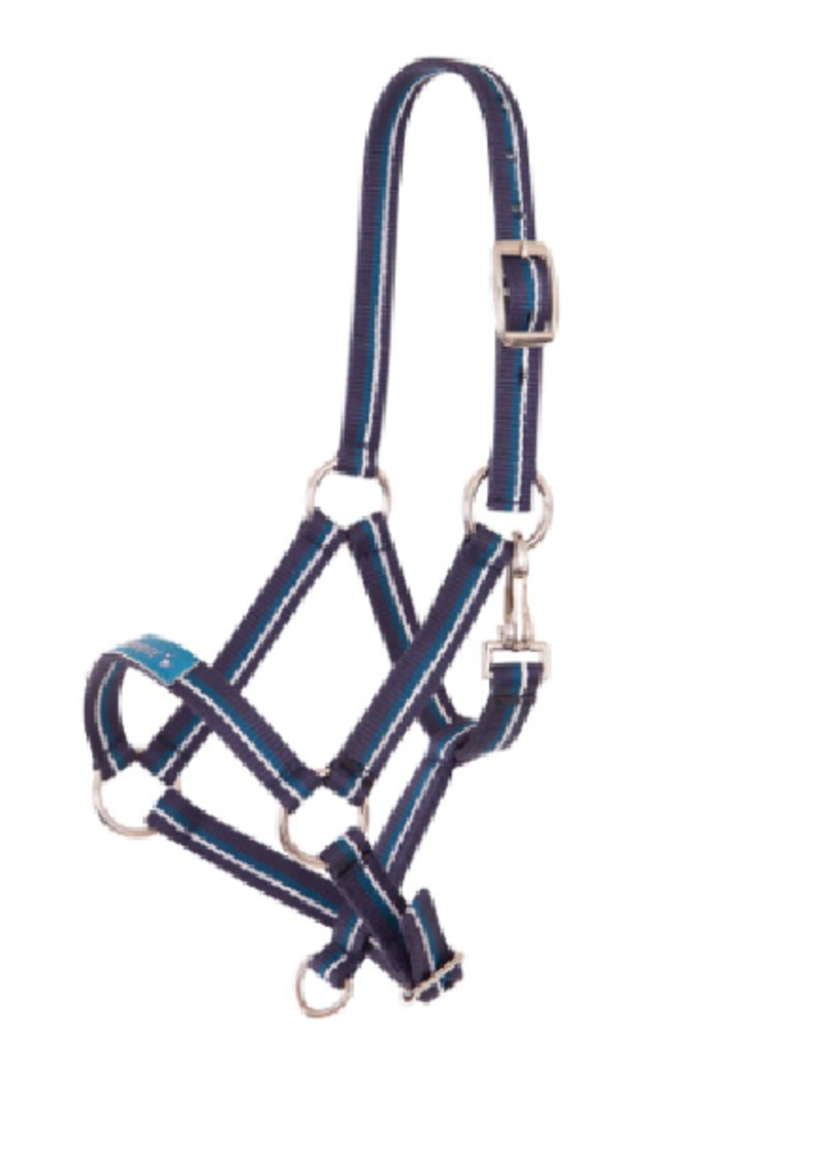Premiere Premiere Fun Veulen  Halster