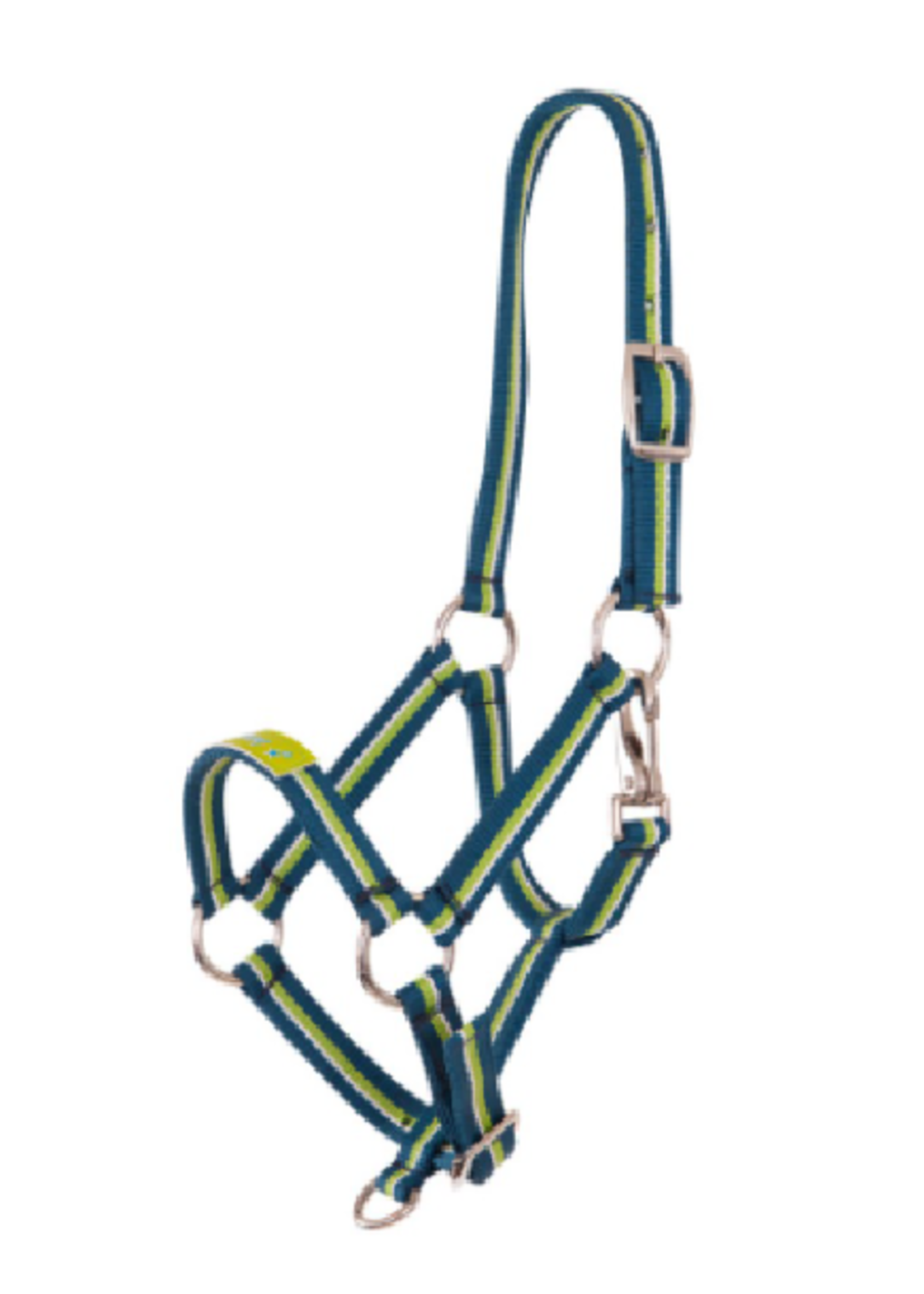 Premiere Premiere Fun Veulen  Halster