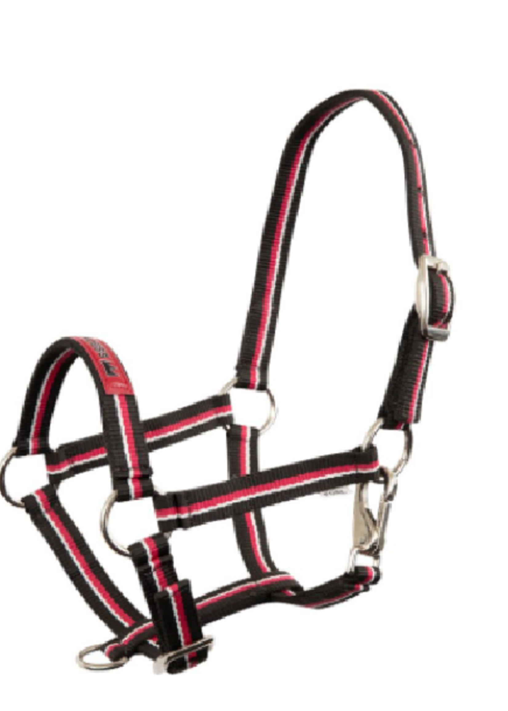 Premiere Premiere Fun Veulen  Halster