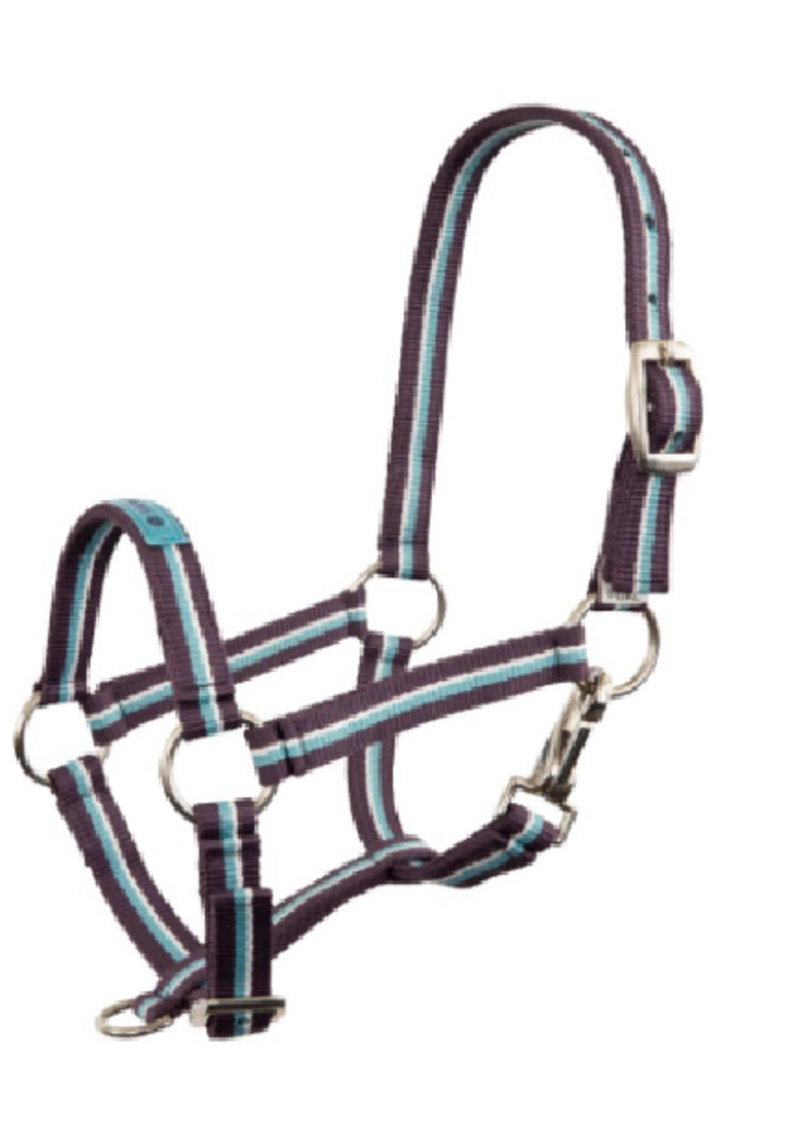 Premiere Premiere Fun Veulen  Halster