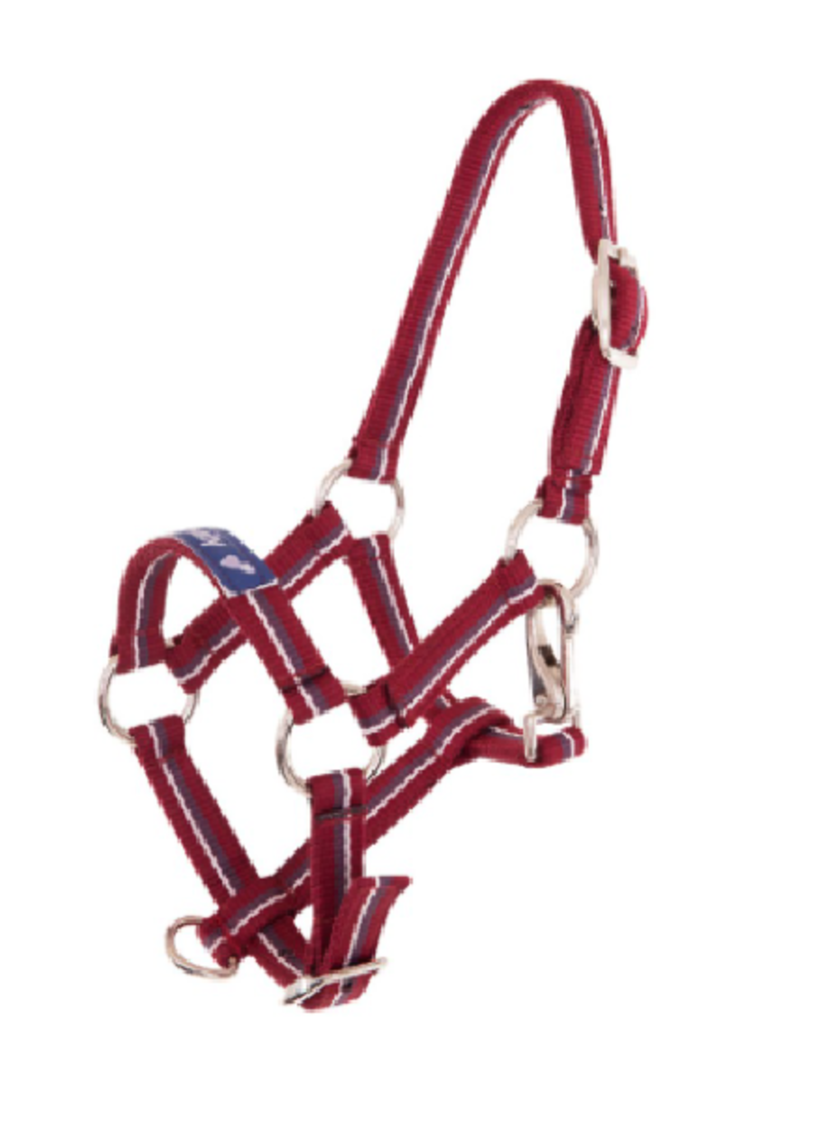 Premiere Premiere Fun Veulen  Halster