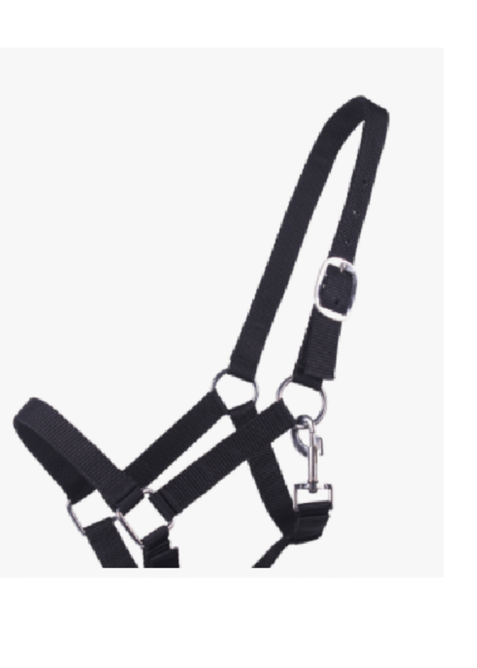 QHP QHP Halster Jaarling