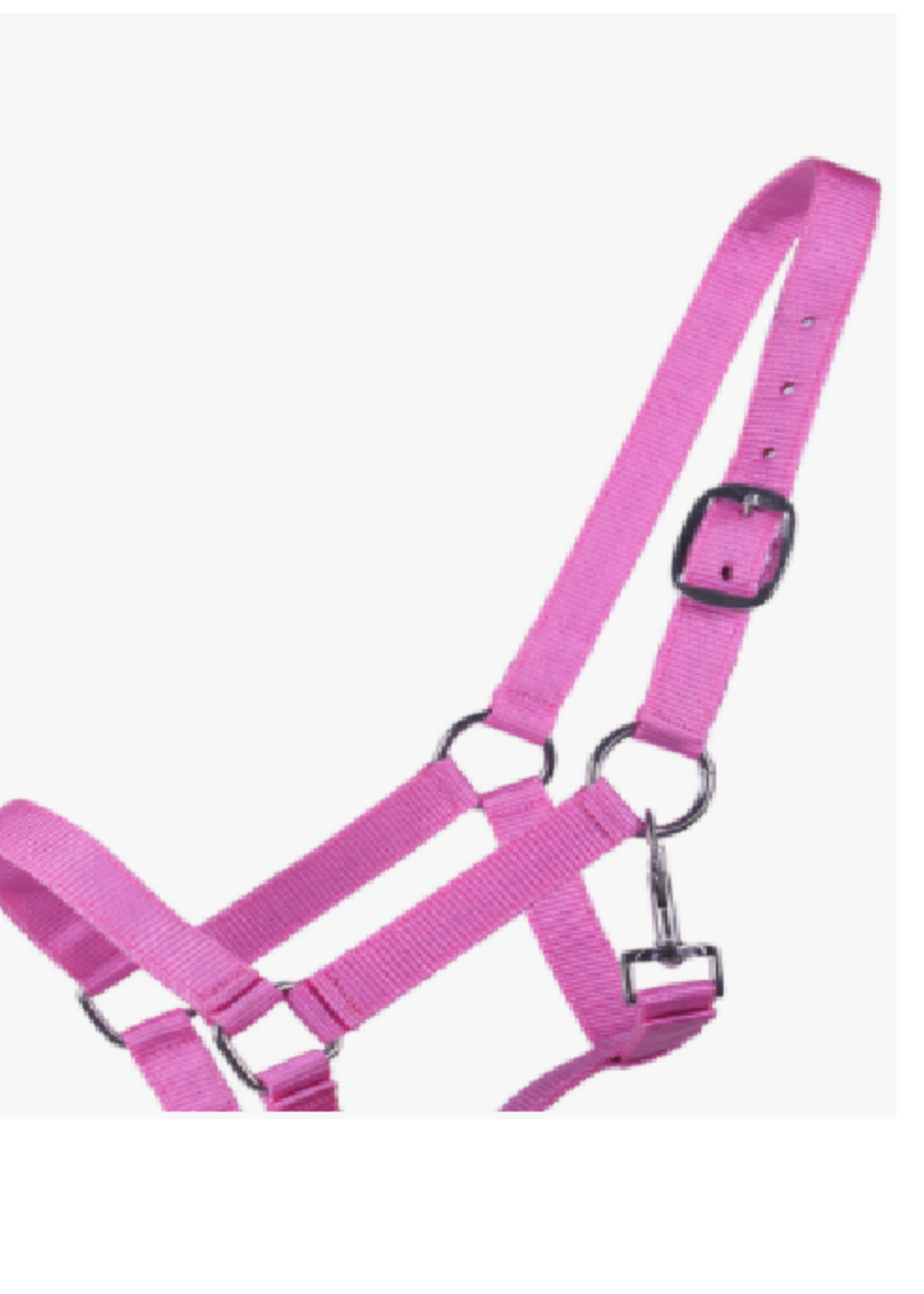 QHP QHP Halster Jaarling