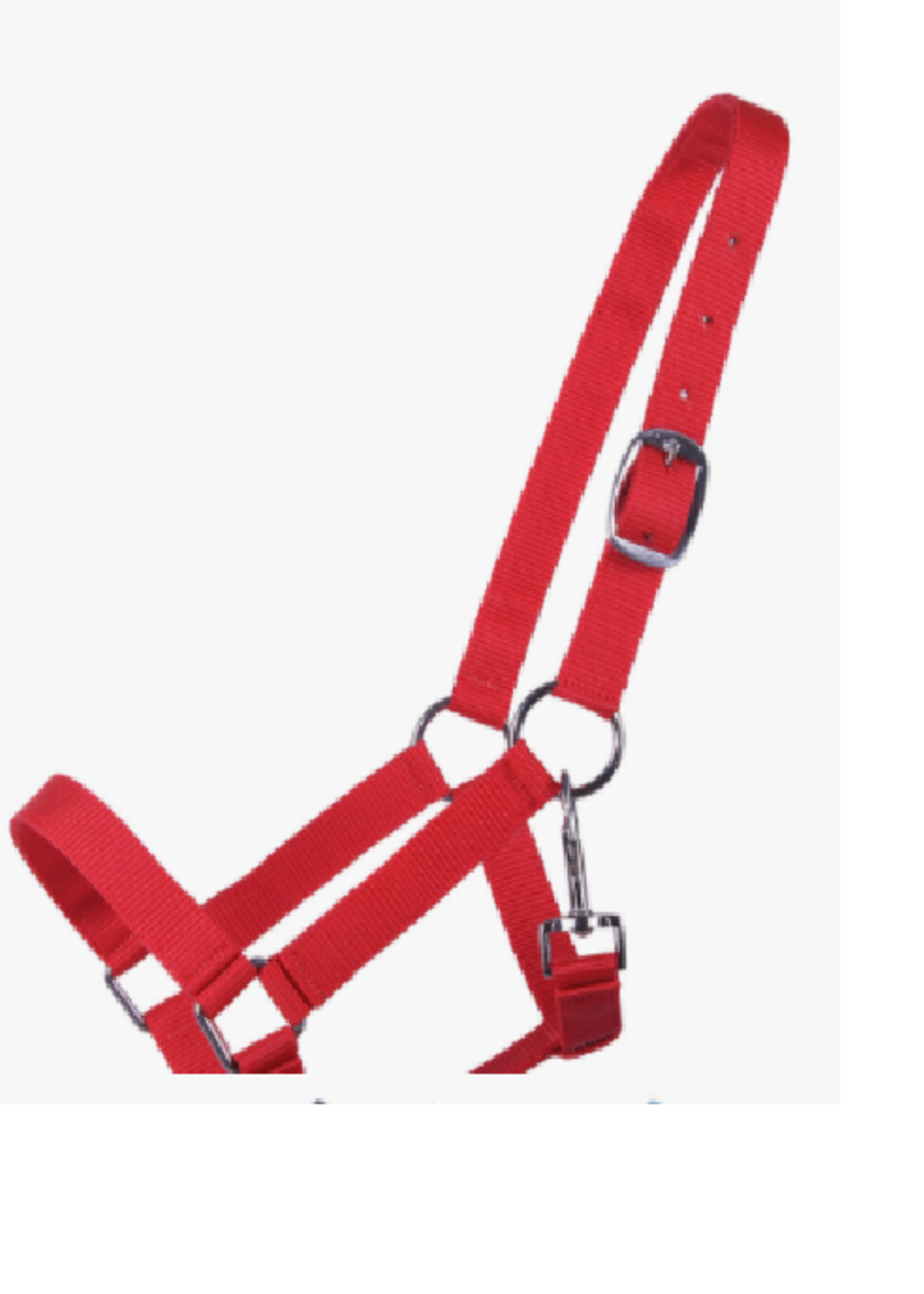 QHP QHP Halster Jaarling