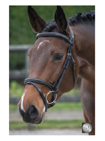 LJ Leathers LJ Pro Legacy Gecombineerde Neusriem