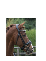 LJ Leathers LJ Pro Select, Superior Lak, gecombineerd,  Hoofdstel  PS107