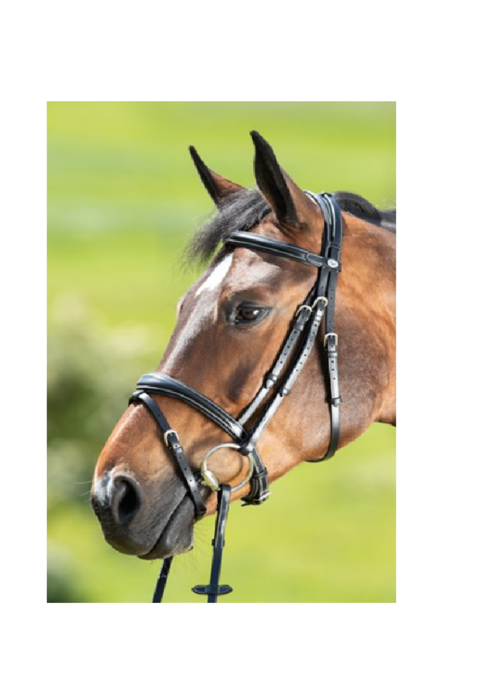 HFI HFI Technical Hoofdstel (013)