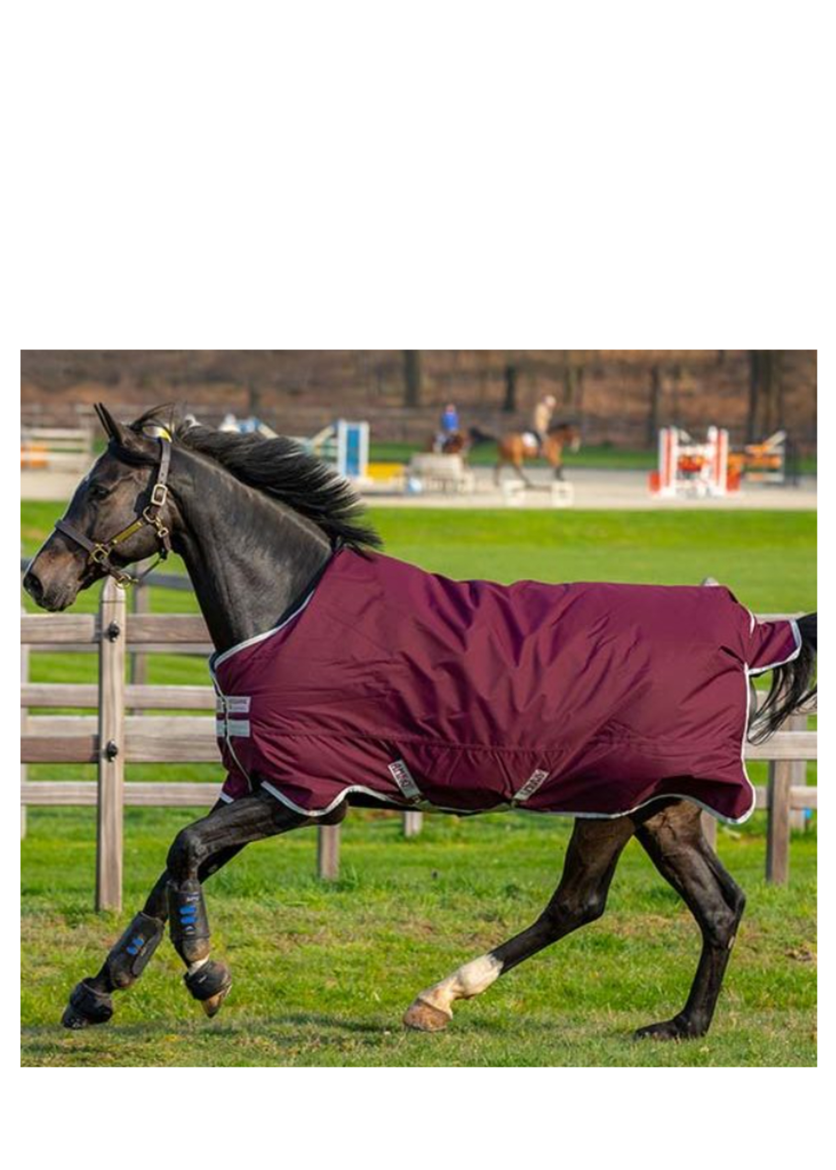 Horseware Horseware Amigo Hero 0gr Waterdicht deken