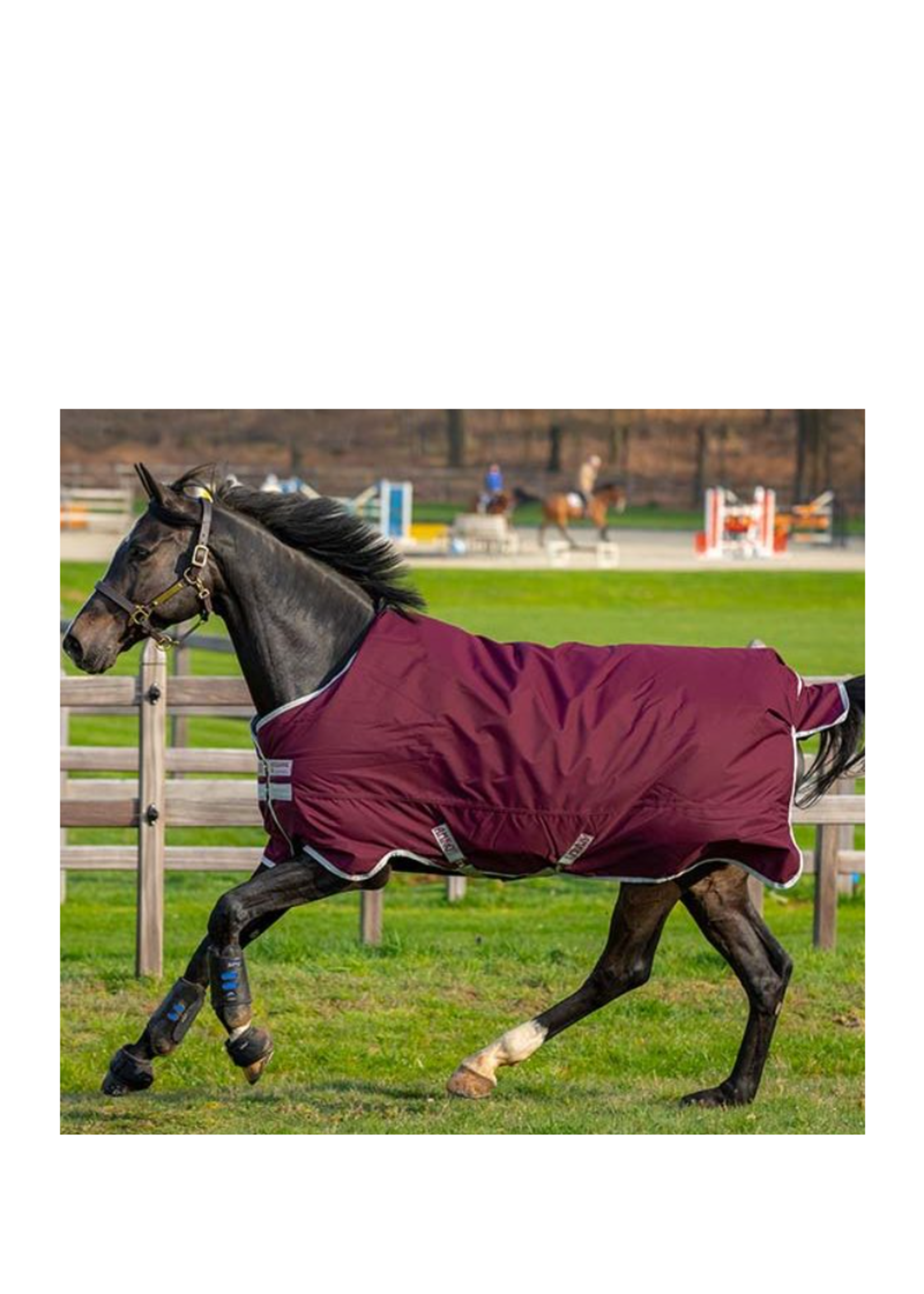 Horseware Horseware Amigo Hero 0gr Waterdicht deken