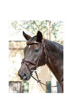 Equiline Equiline Ready to Ride Jumping Hoofdstel