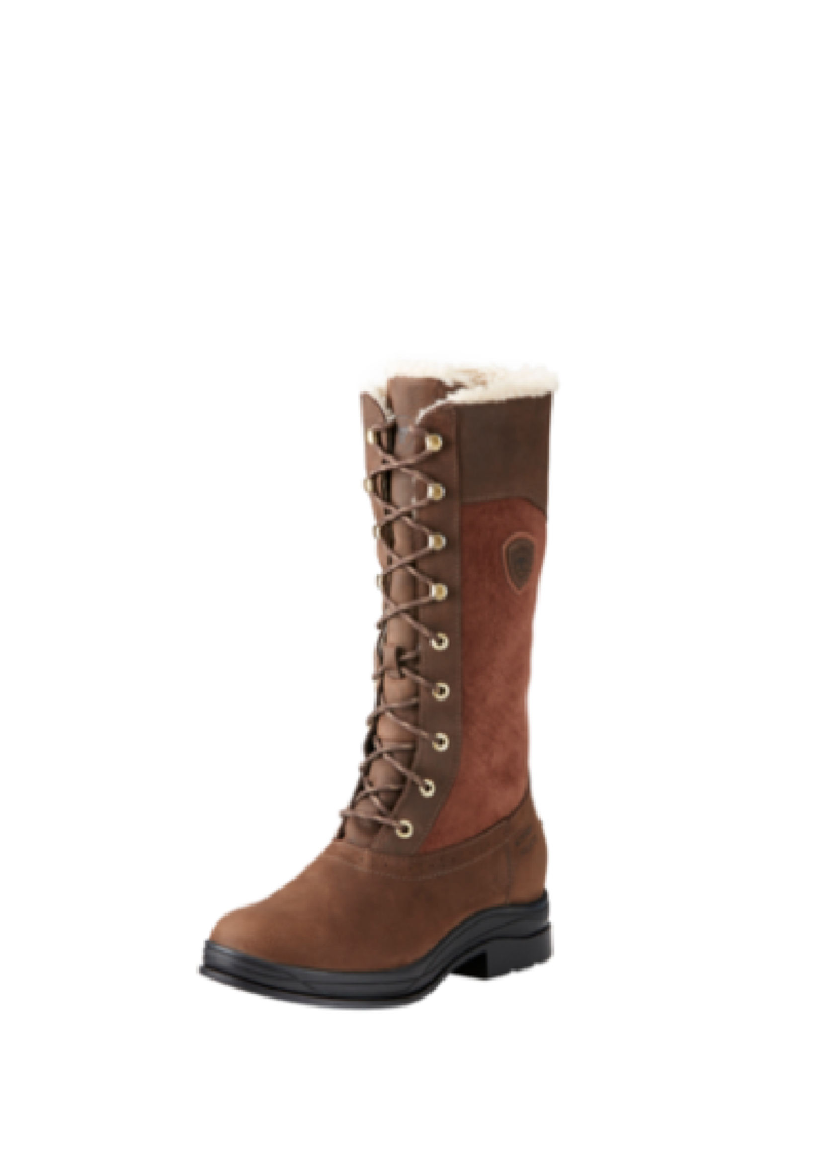 Ariat Ariat Wythburn H20 rits  Winter Laarzen