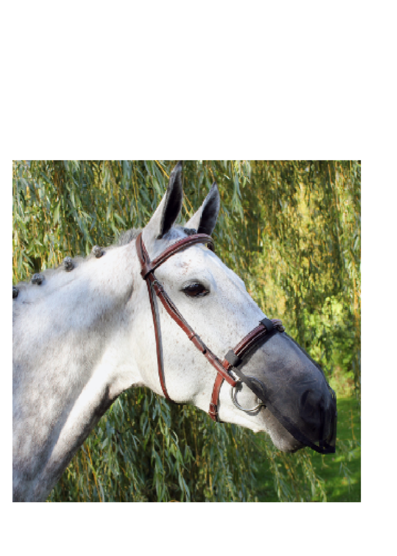 QHP QHP Neusnetje 5069