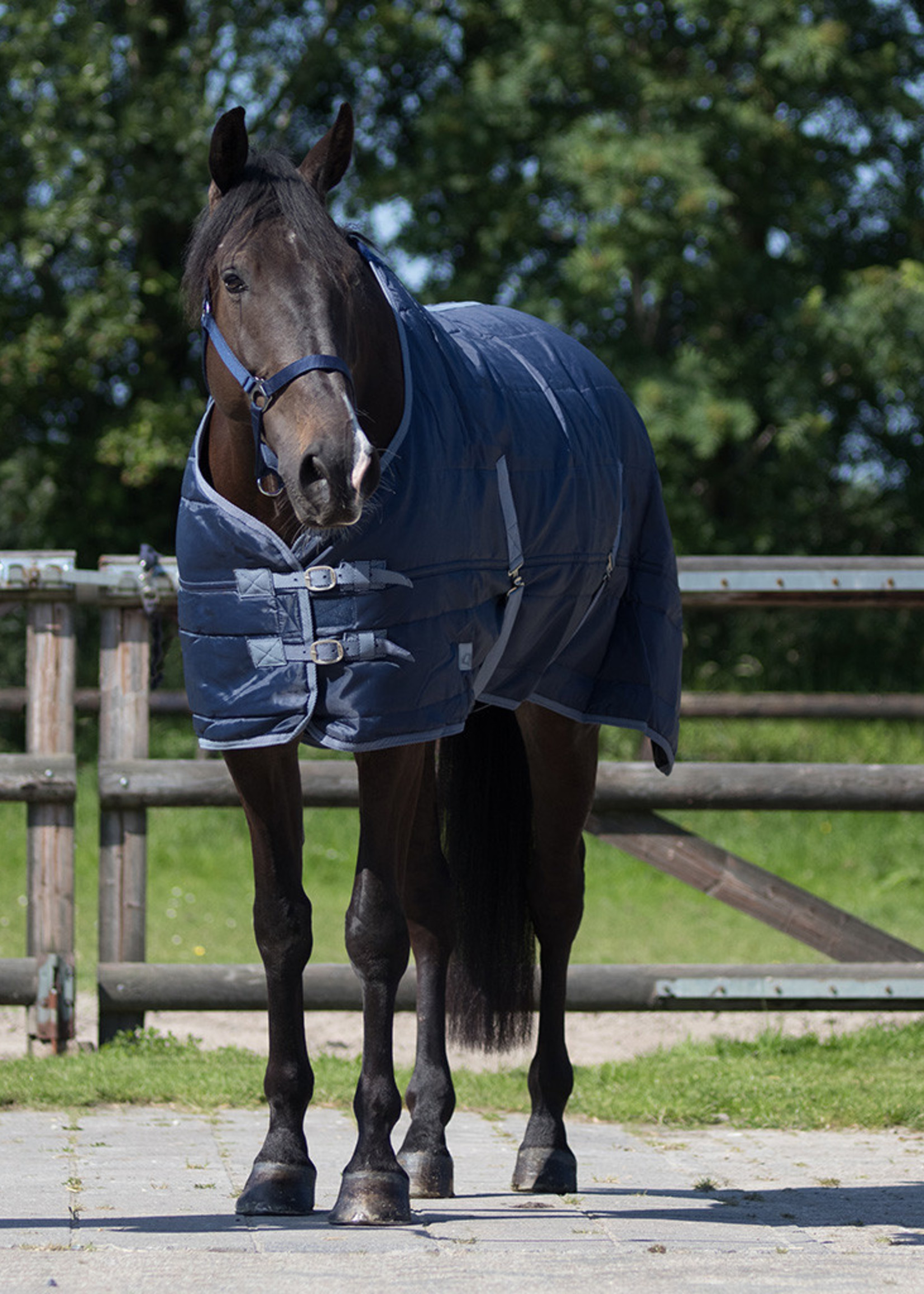 QHP QHP Stal Deken 300 Gram