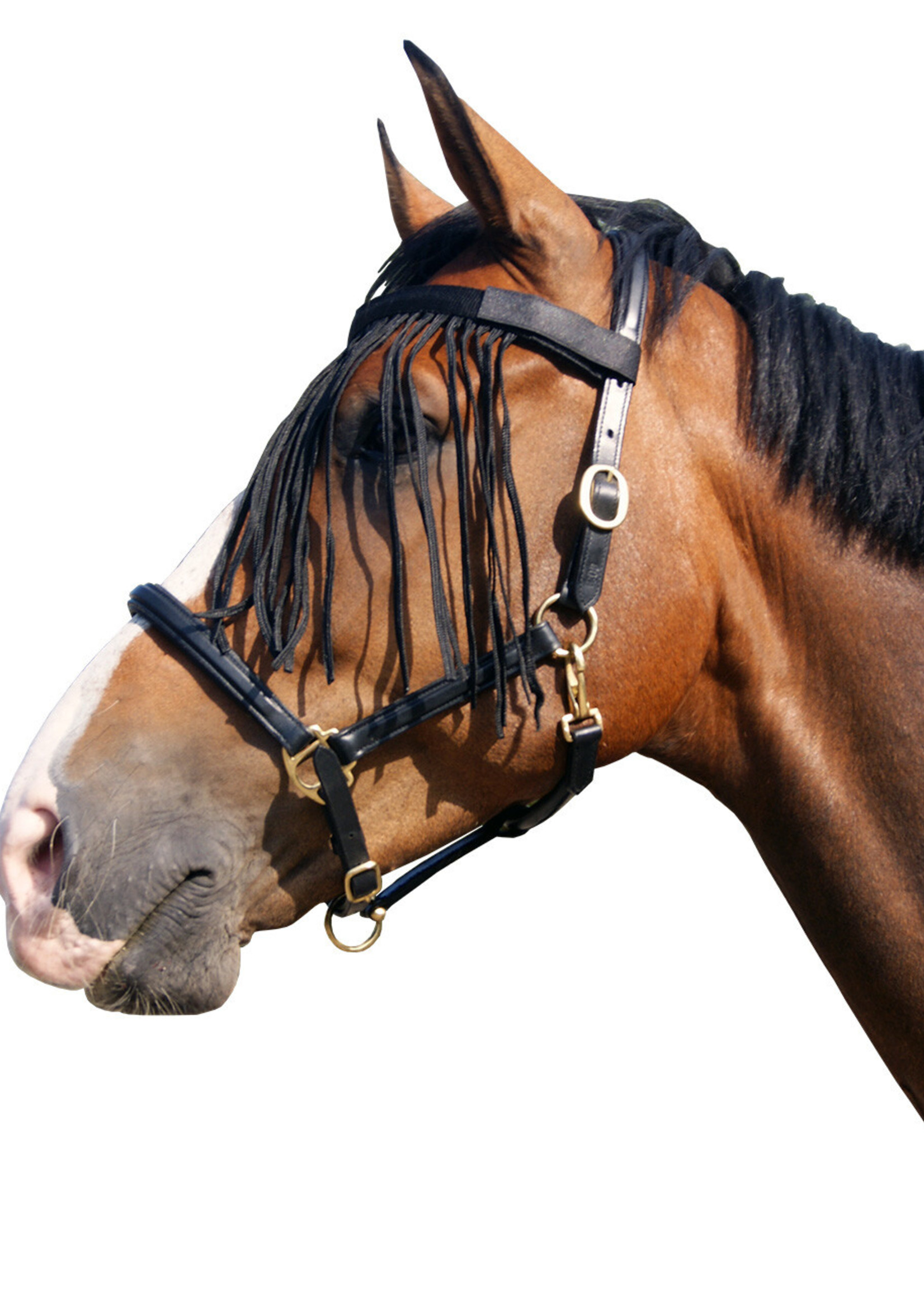 QHP QHP Vliegenfrontriem