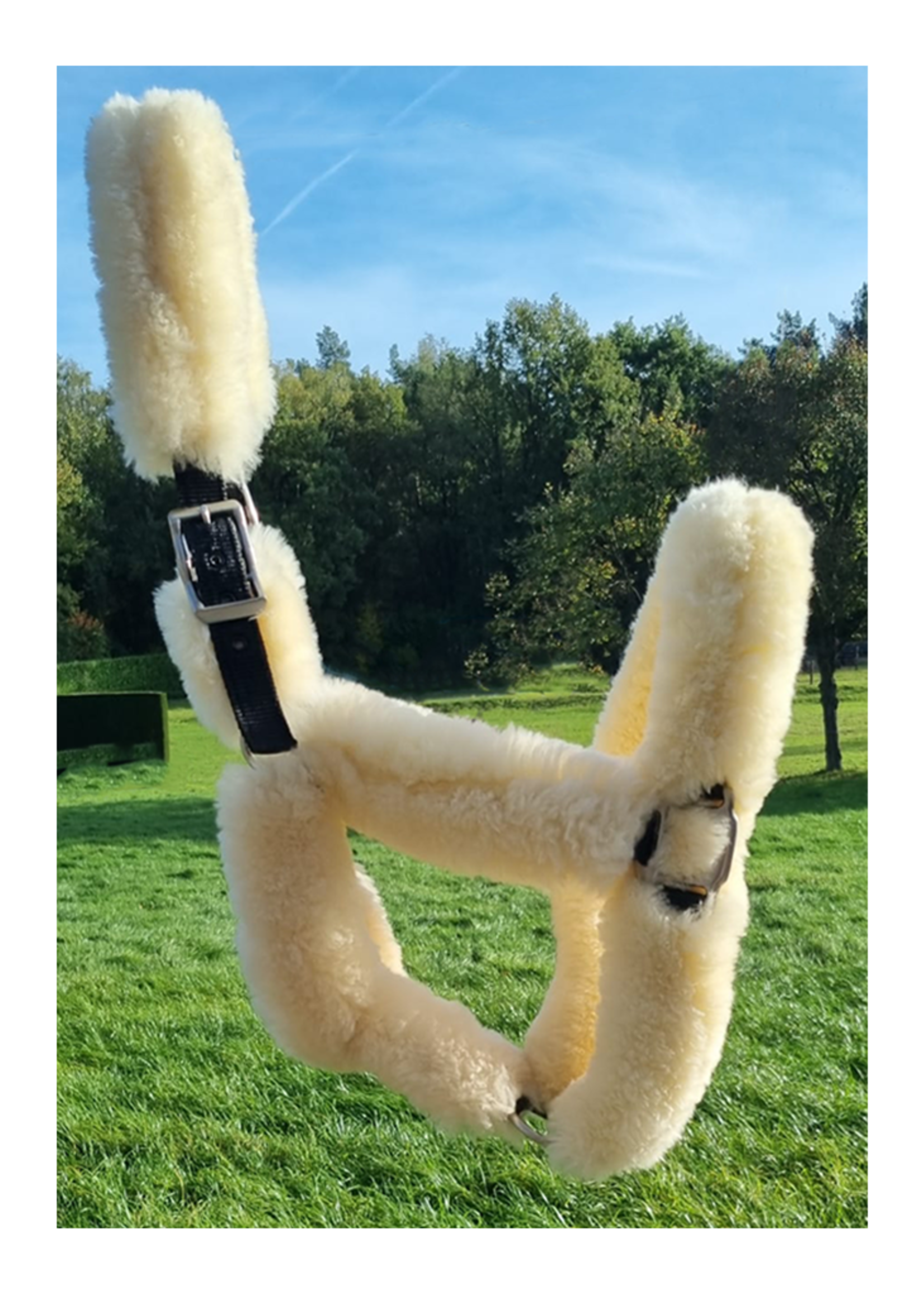 LJ Leathers LJ Pro Select Sheepskin Halster (PS202)