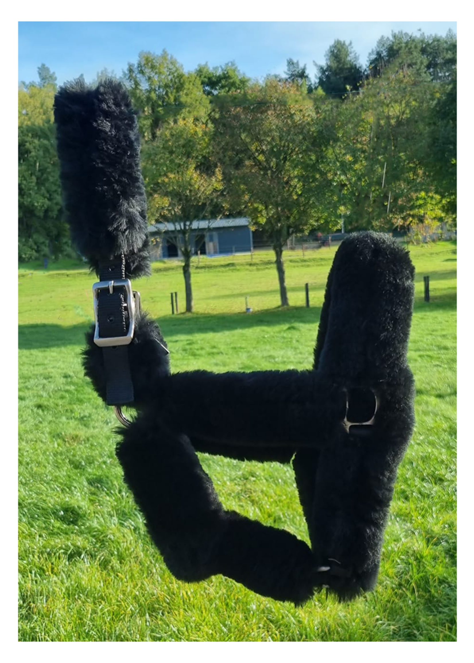 LJ Leathers LJ Pro Select Sheepskin Halster (PS202)