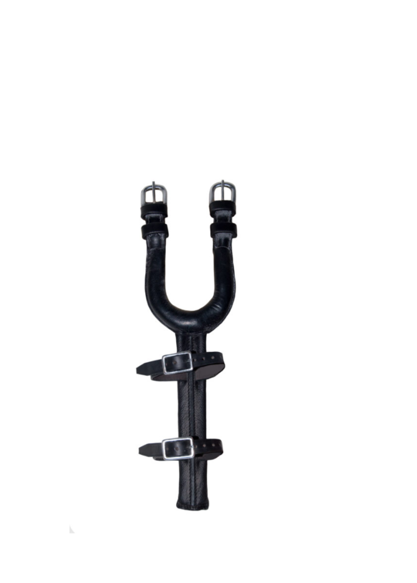 Ideal Ideal Staarthouder