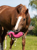 QHP QHP Paarden Speeltje