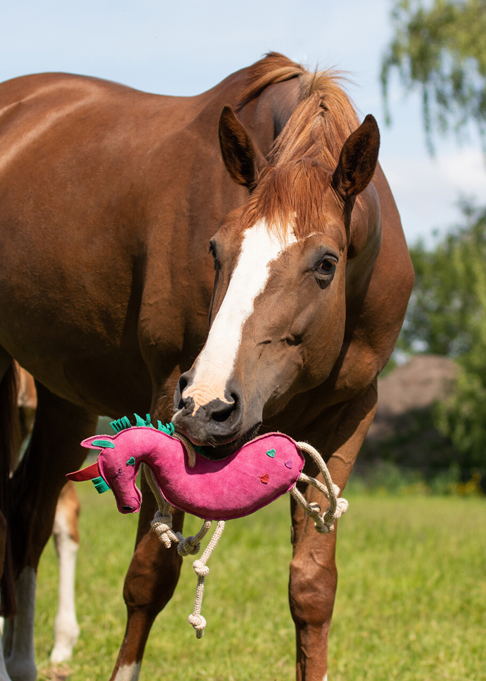 QHP QHP paardenspeelgoed 5190