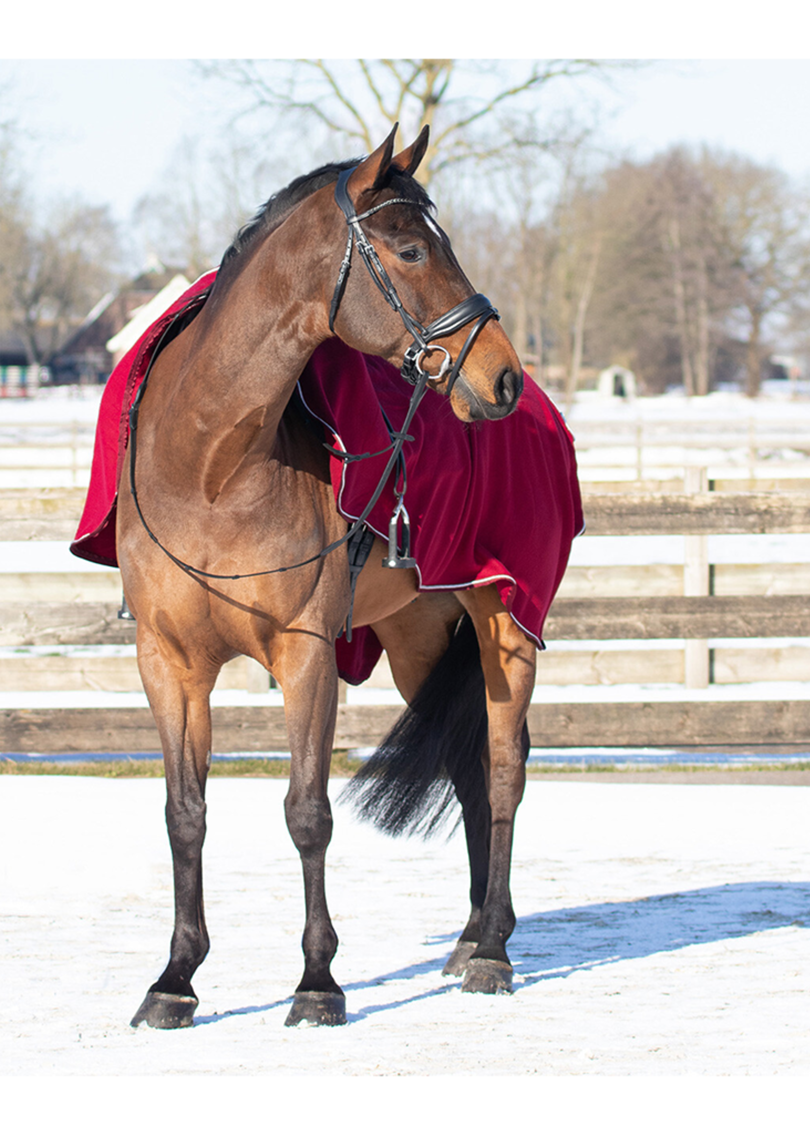 QHP QHP Fleece Uitrij deken