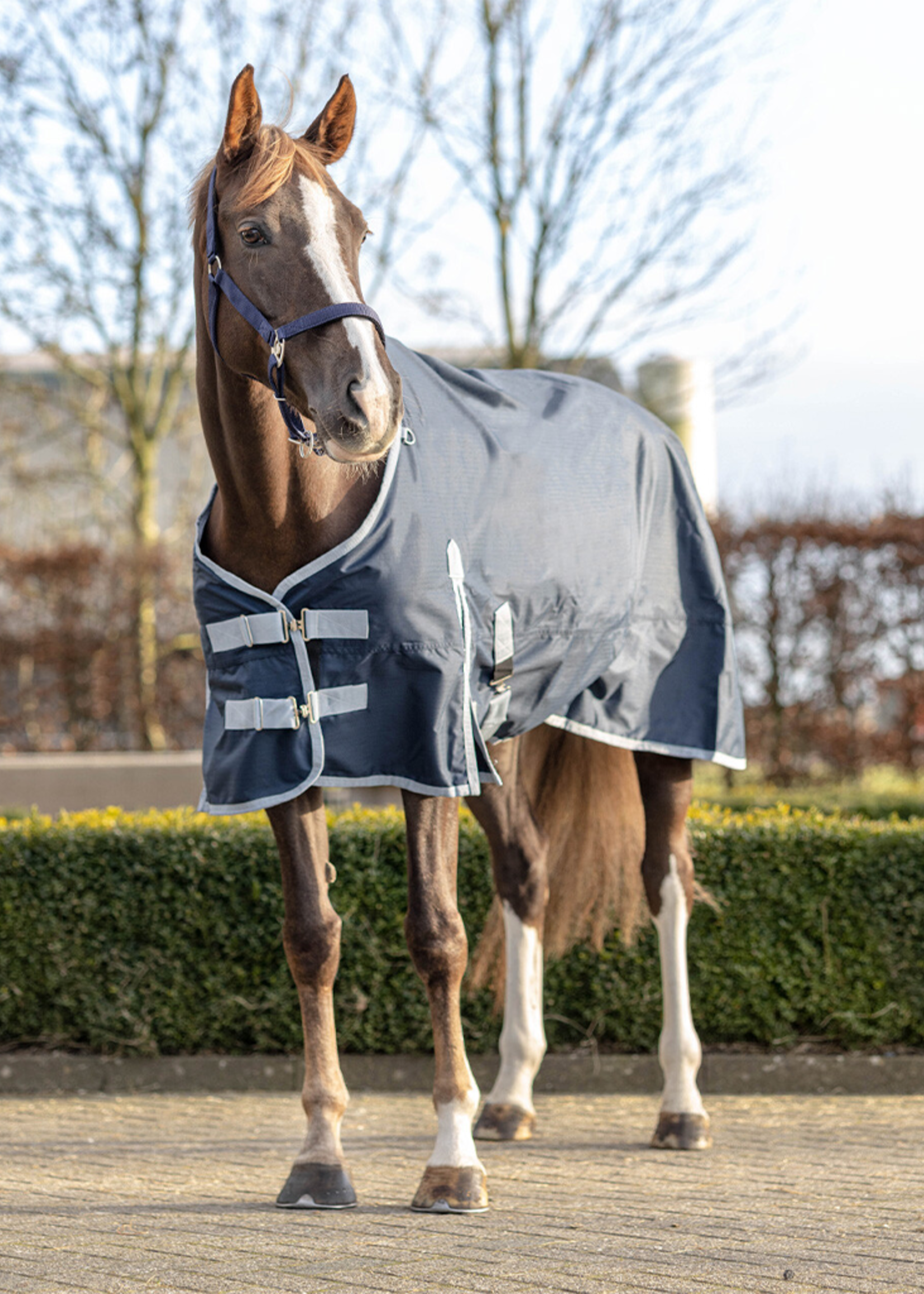 QHP QHP Waterdichte Deken Fleece gev