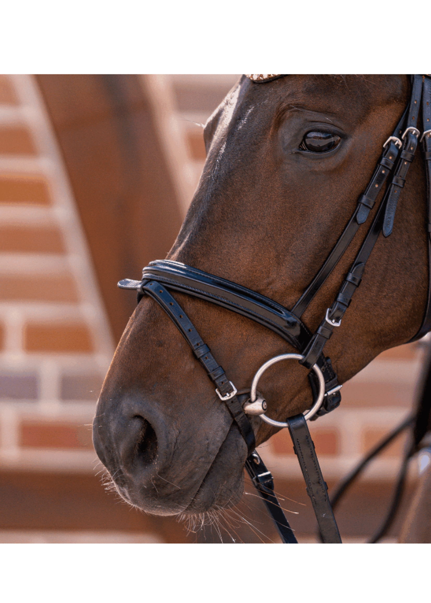 Sprenger Sprenger Novo Water Dubbel Bit 40456