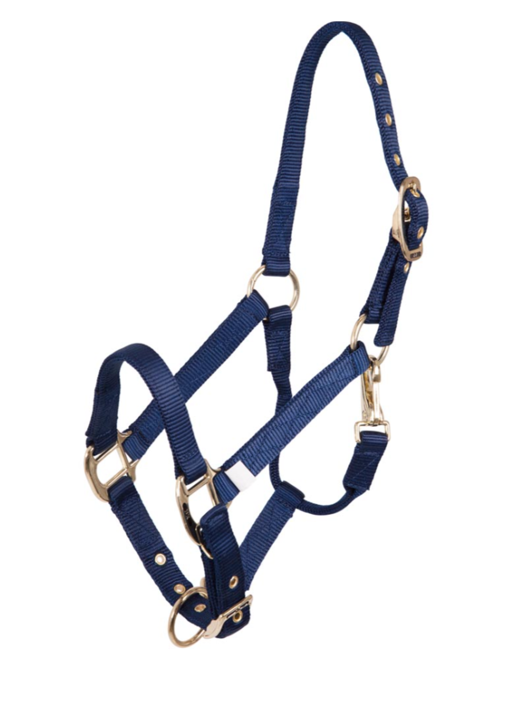 BR BR Veulen Halster (vanaf 5 maanden)
