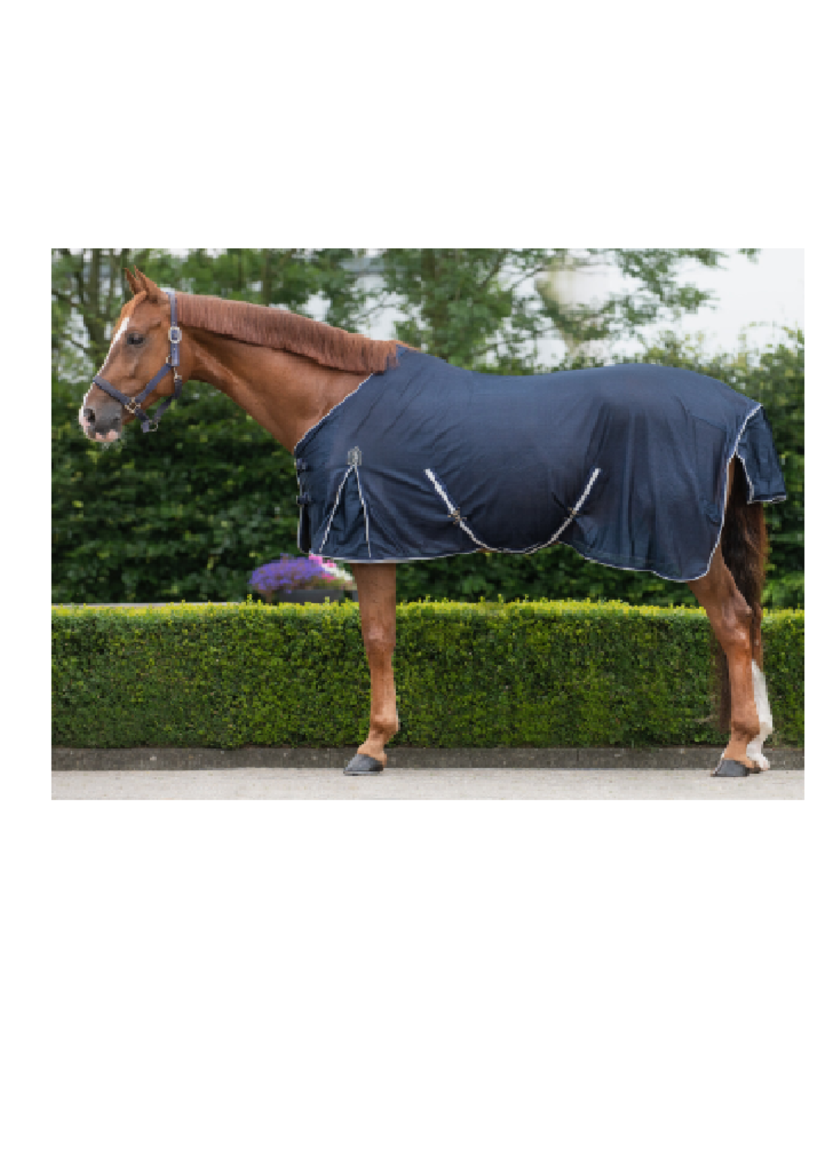 QHP Qhp Basic Vliegendeken 6305