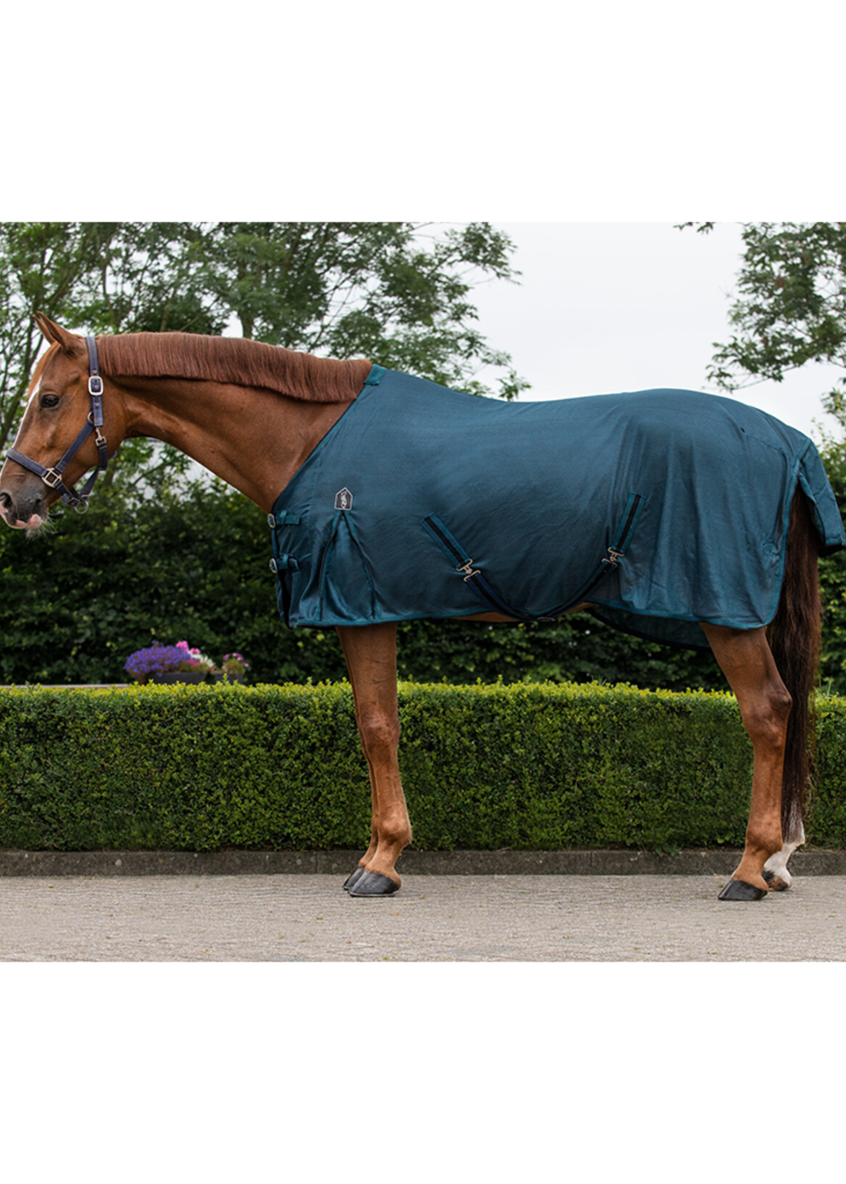 QHP Qhp Basic Vliegendeken 6305