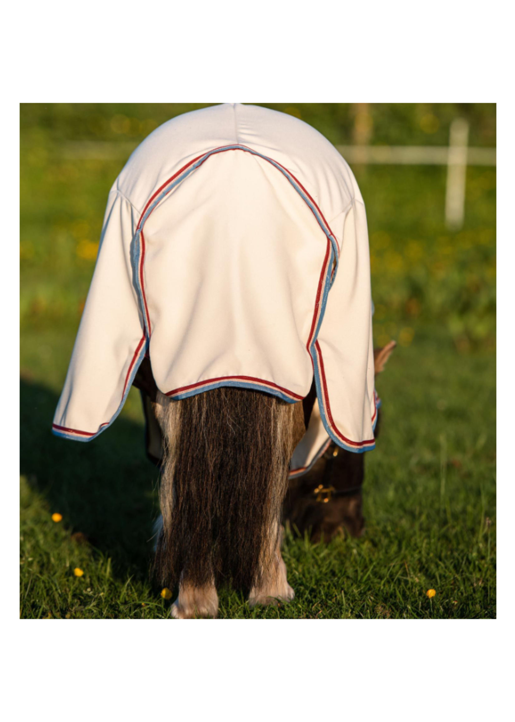 Horseware Horseware Rambo  Hoody  Pony Eczeem Deken