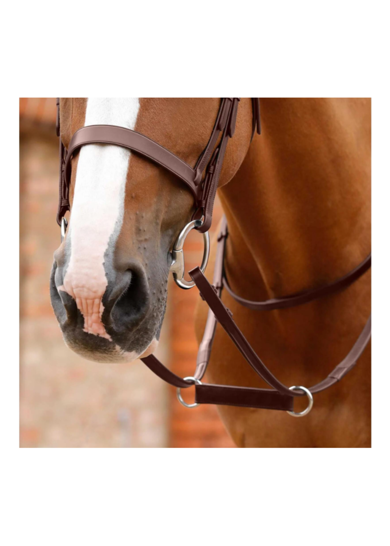 BR BR Ierse Martingale 231011