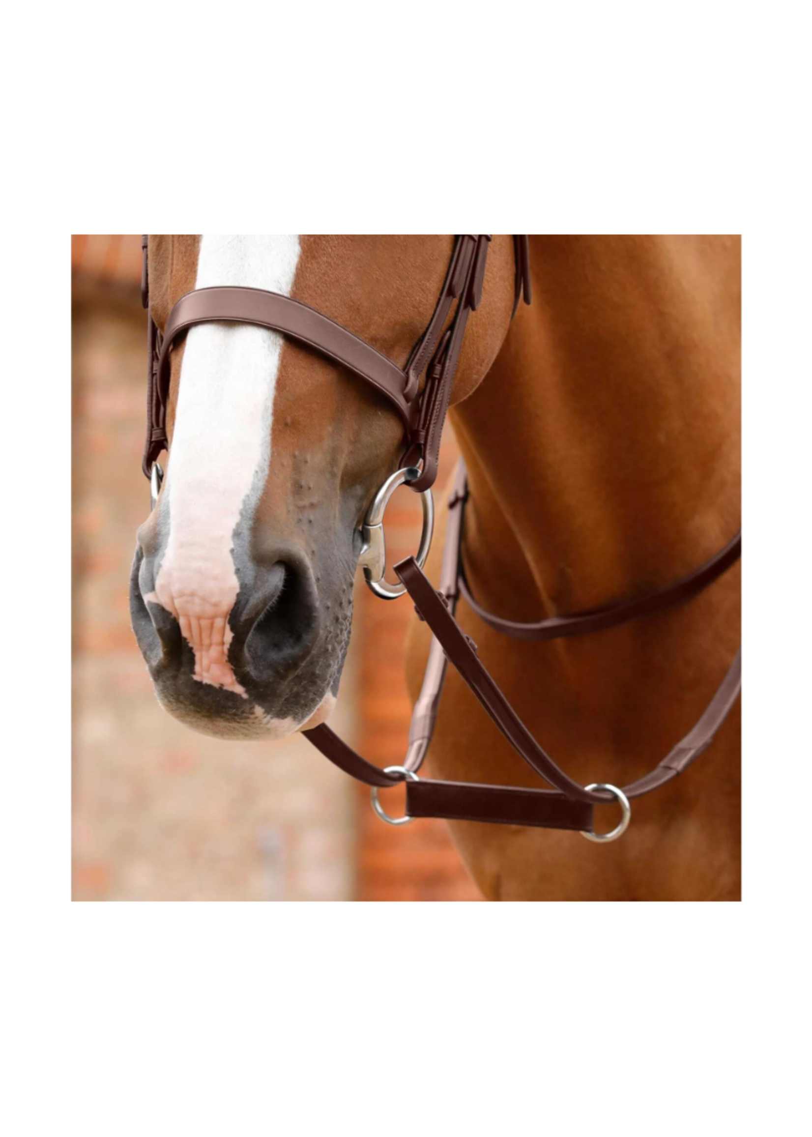 BR BR Ierse Martingale 231011