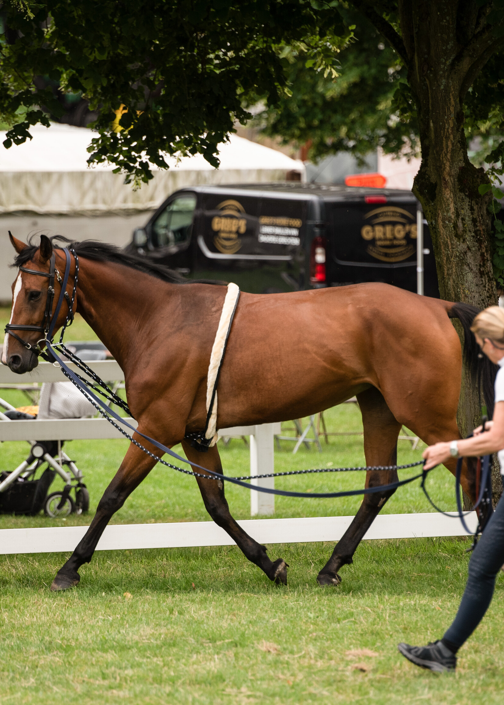 BR BR Longeermethode  Concord Longe  451300